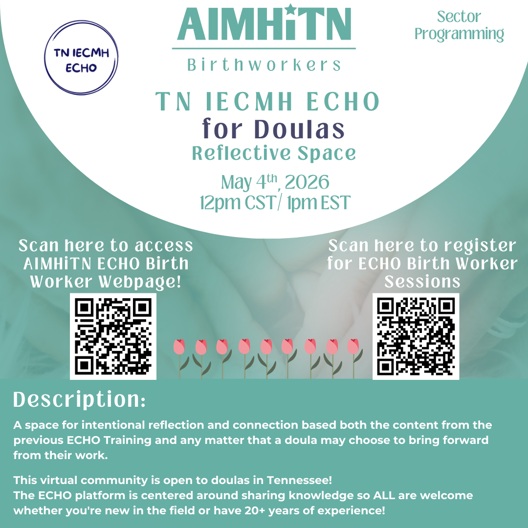 TN IECMH ECHO Doula: Reflective Space