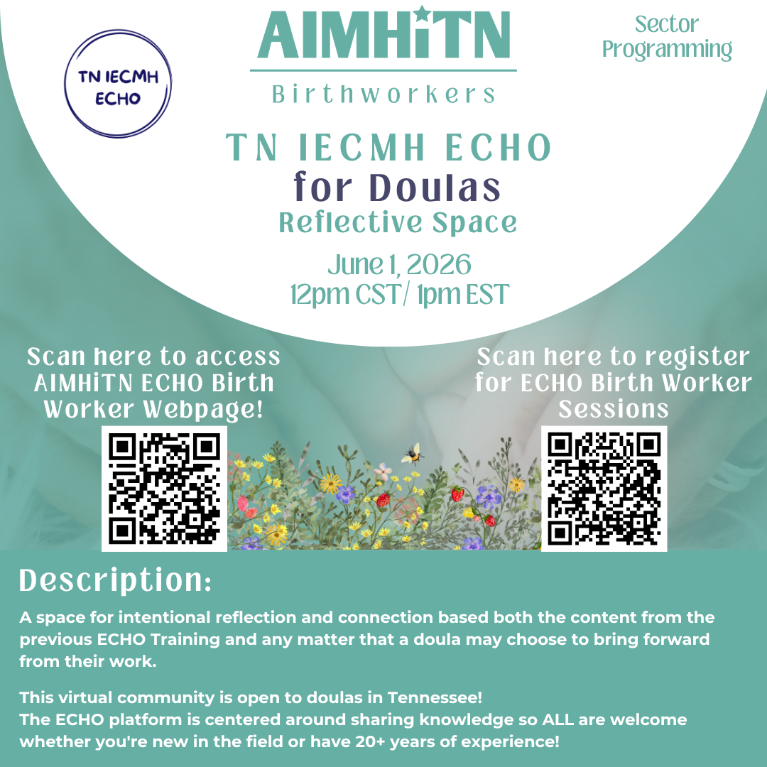 TN IECMH ECHO Doula: Reflective Space
