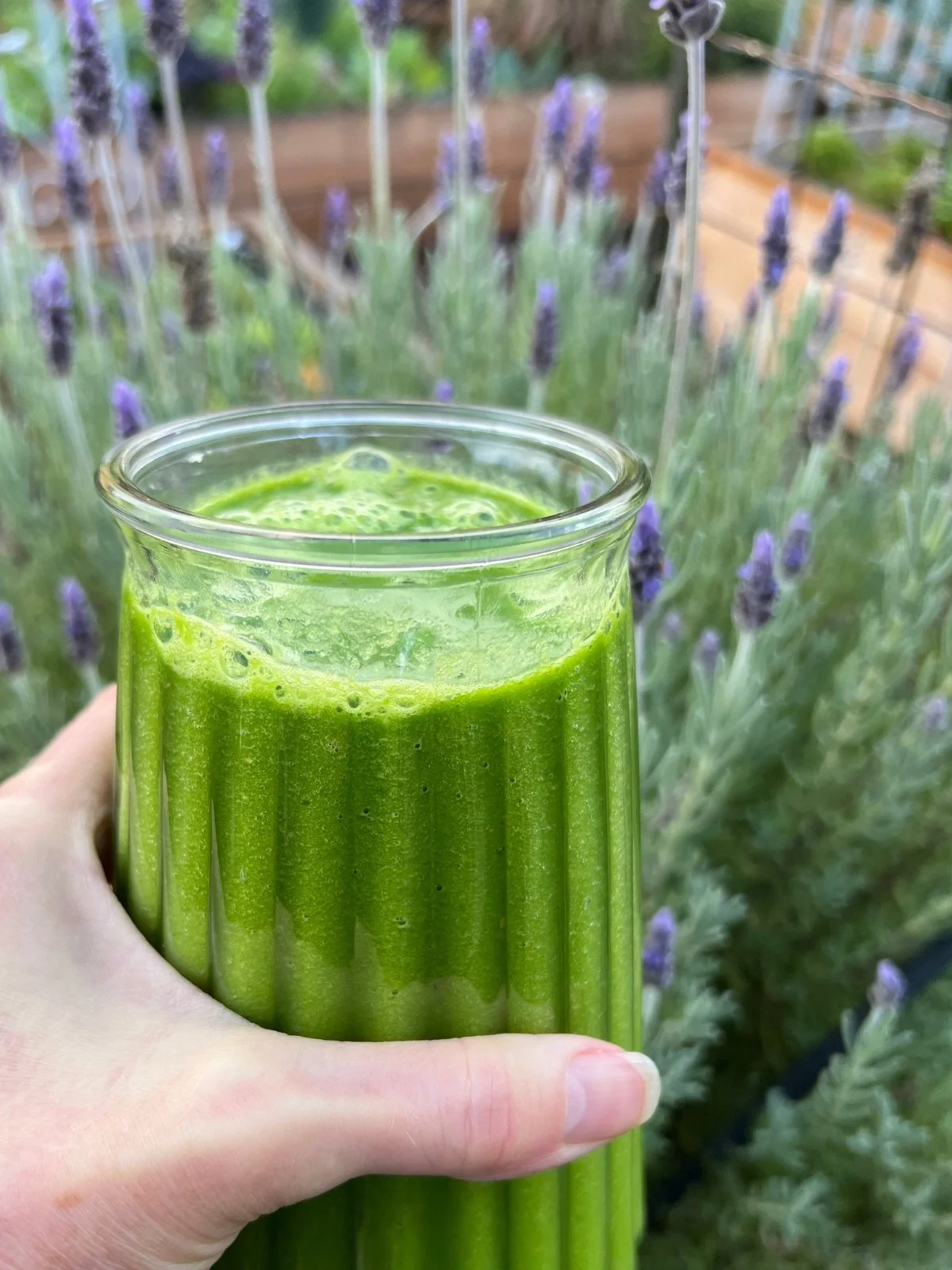 Green smoothie served in a thrifted glass vase in front of blooming lavender