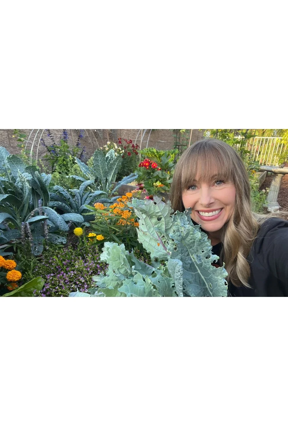 Dr. Brooke Goldner’s Goodbye Autoimmune Disease Protocol: Explained Step by Step