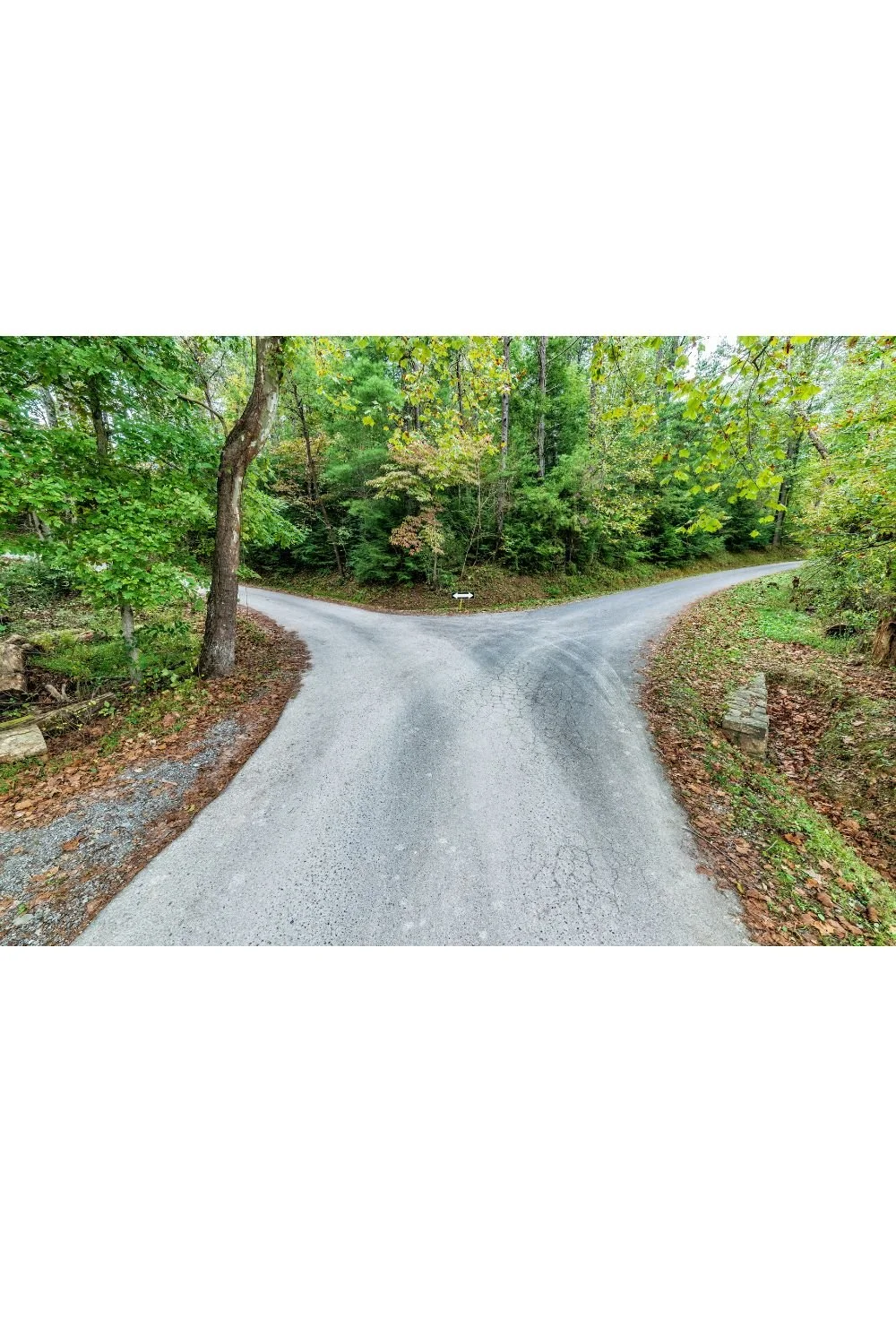 Mindset Is Medicine: How Your Thoughts Influence Healing, Habits, and Hope