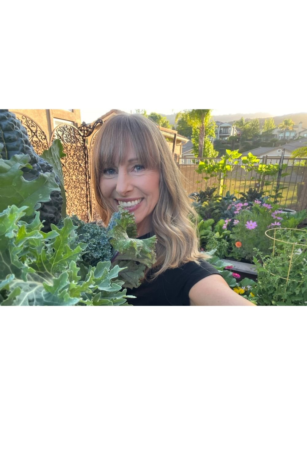 The Garden That Grew Alongside My Health