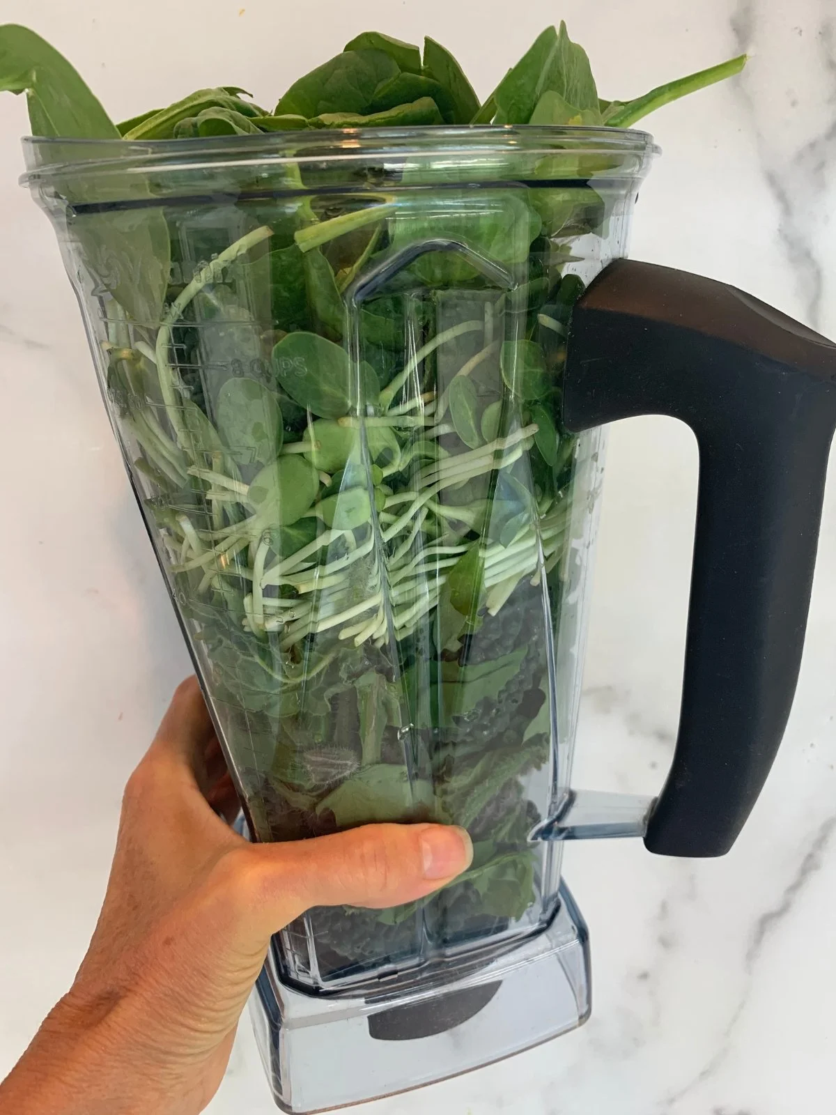 vitamix-carafe-one-pound-leafy-greens.jpg