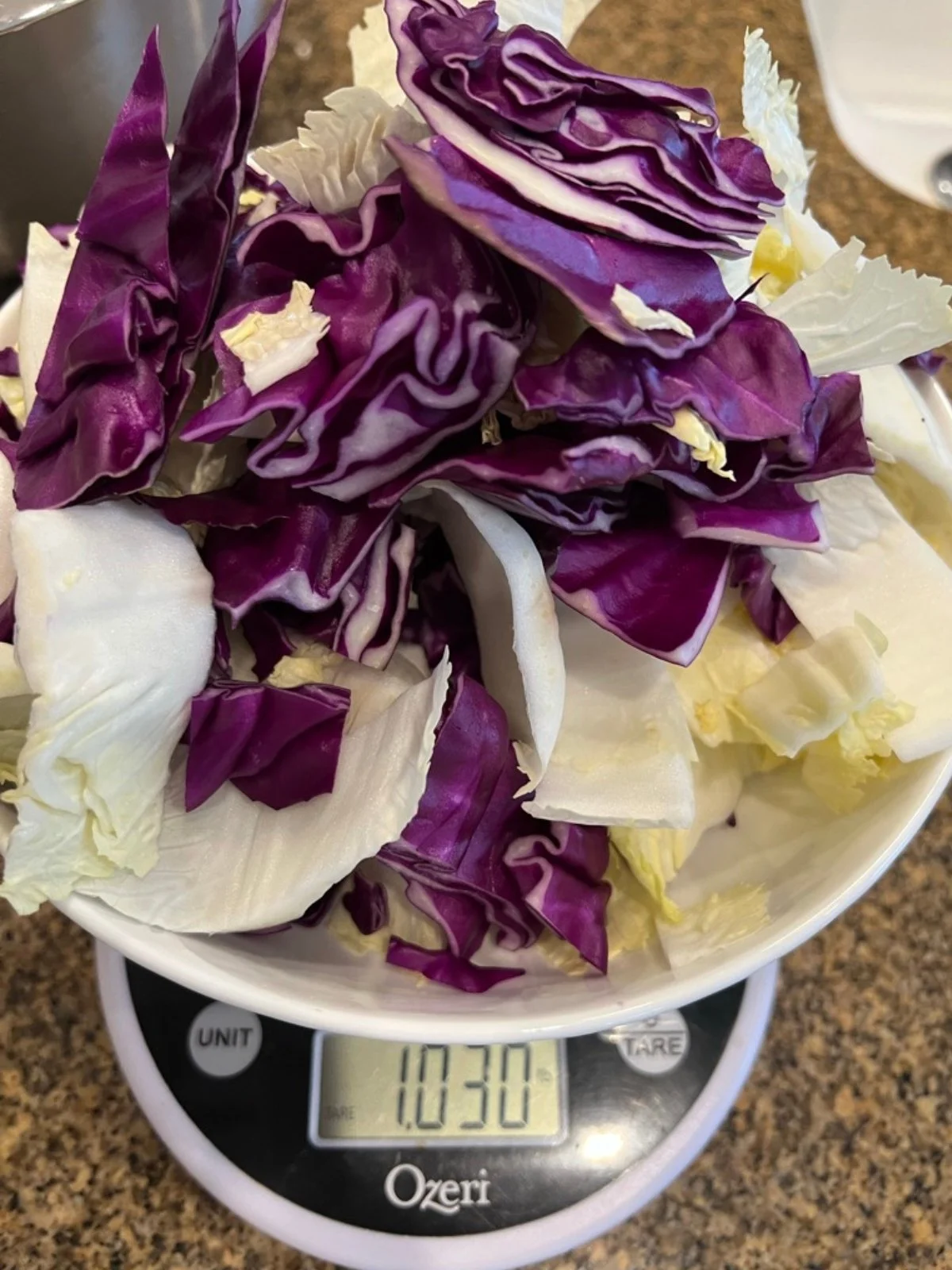 cabbage-weighed-kitchen-scale.jpg