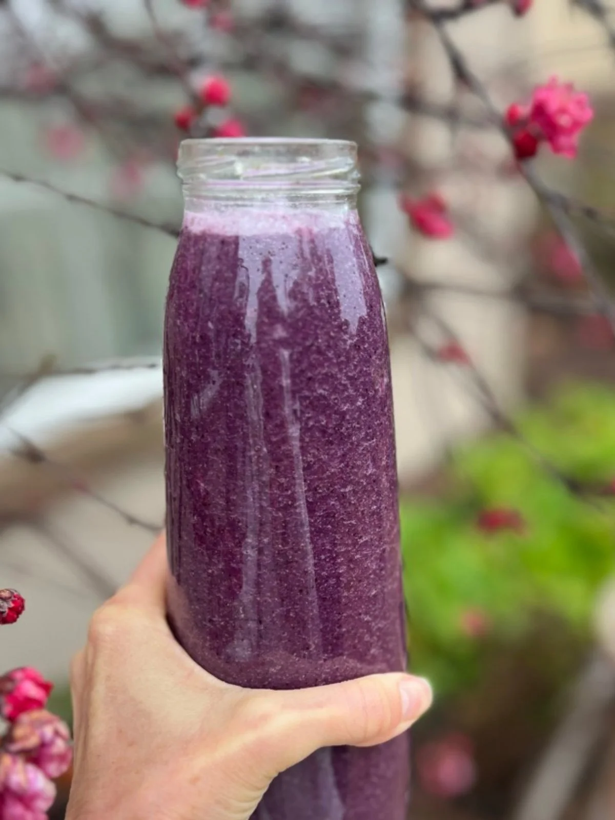 purple-cabbage-fruit-smoothie.jpg
