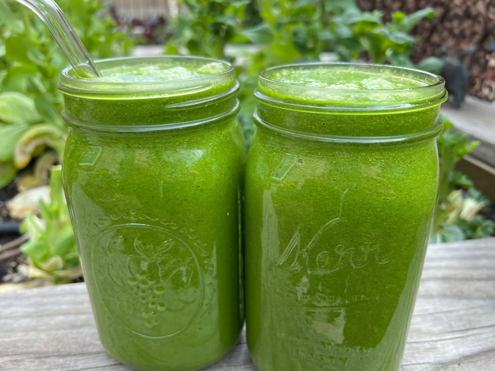 How to Make Dr. Brooke Goldner’s Hyper-Nourishing Green Smoothie