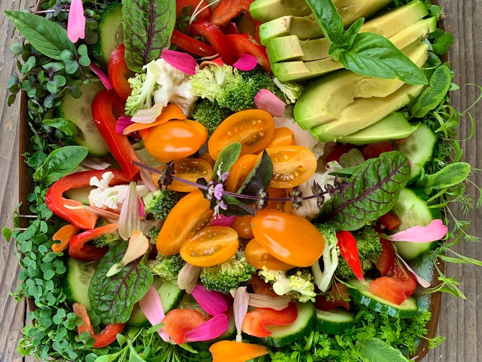 Dr. Brooke Goldner: Healing Food vs. Healthy Food-Why the Difference Matters