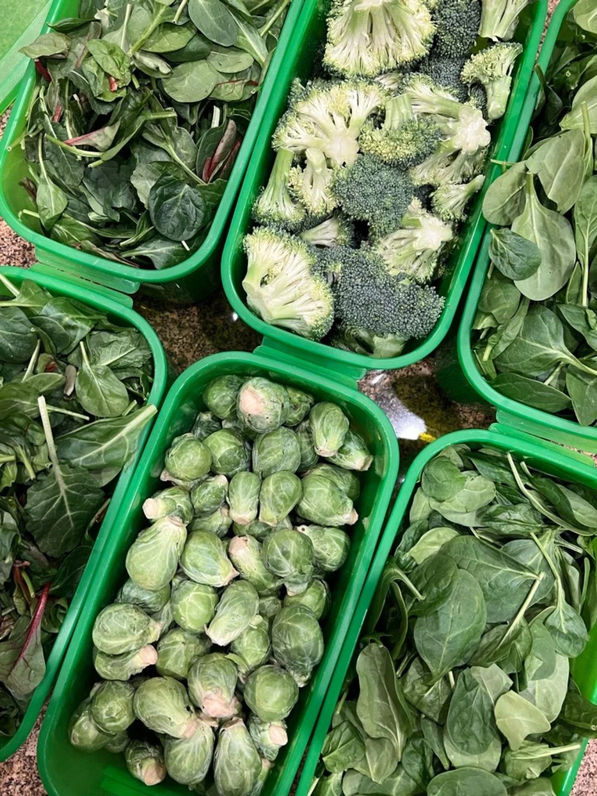 Assortment of leafy greens, Brussels sprouts, and broccoli for Hyper-Nourishing smoothies