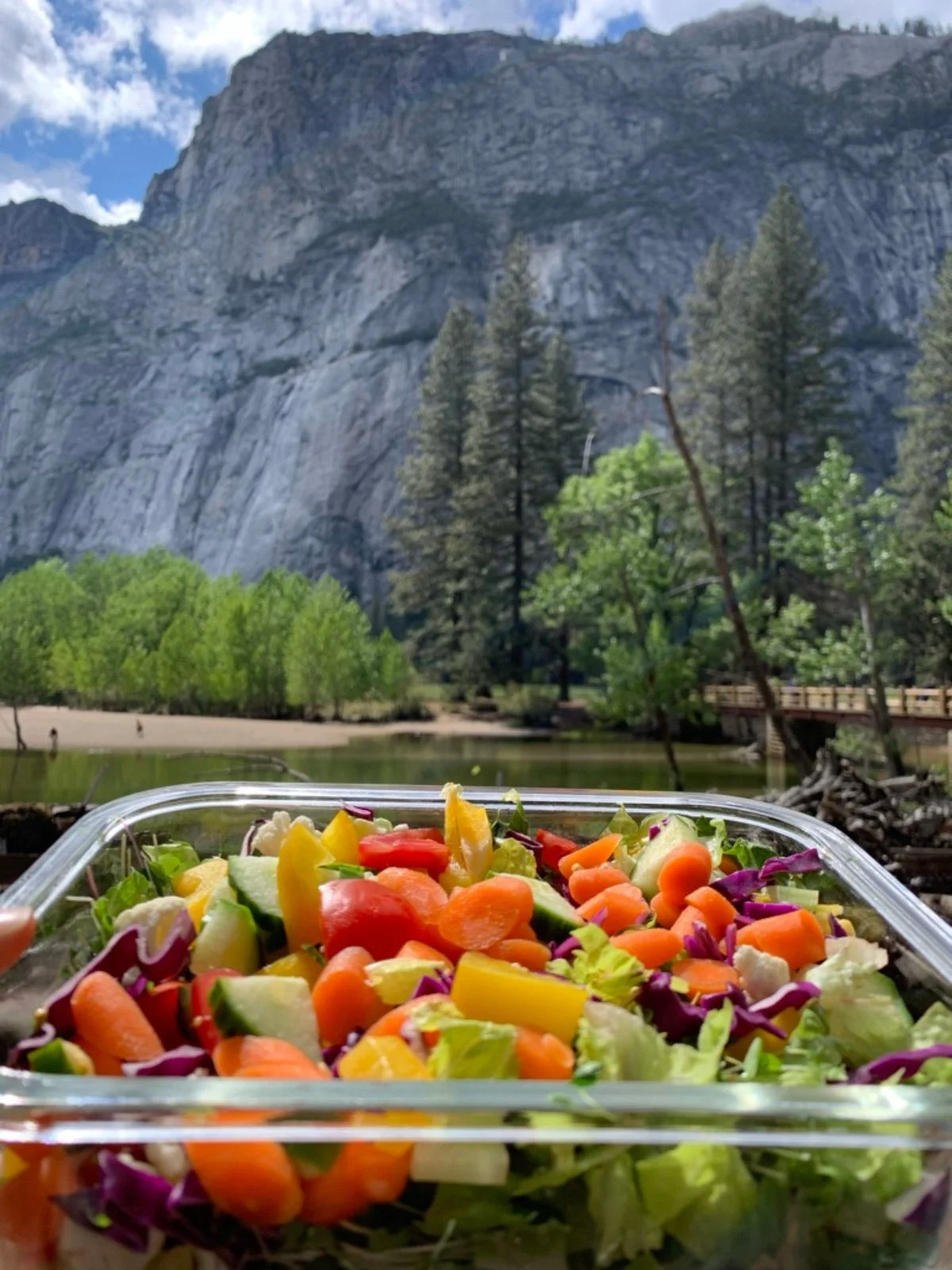 Colorful vegetable salad enjoyed during a Yosemite trip while following Dr. Brooke goldner's Goodbye Autoimmune Protocol.