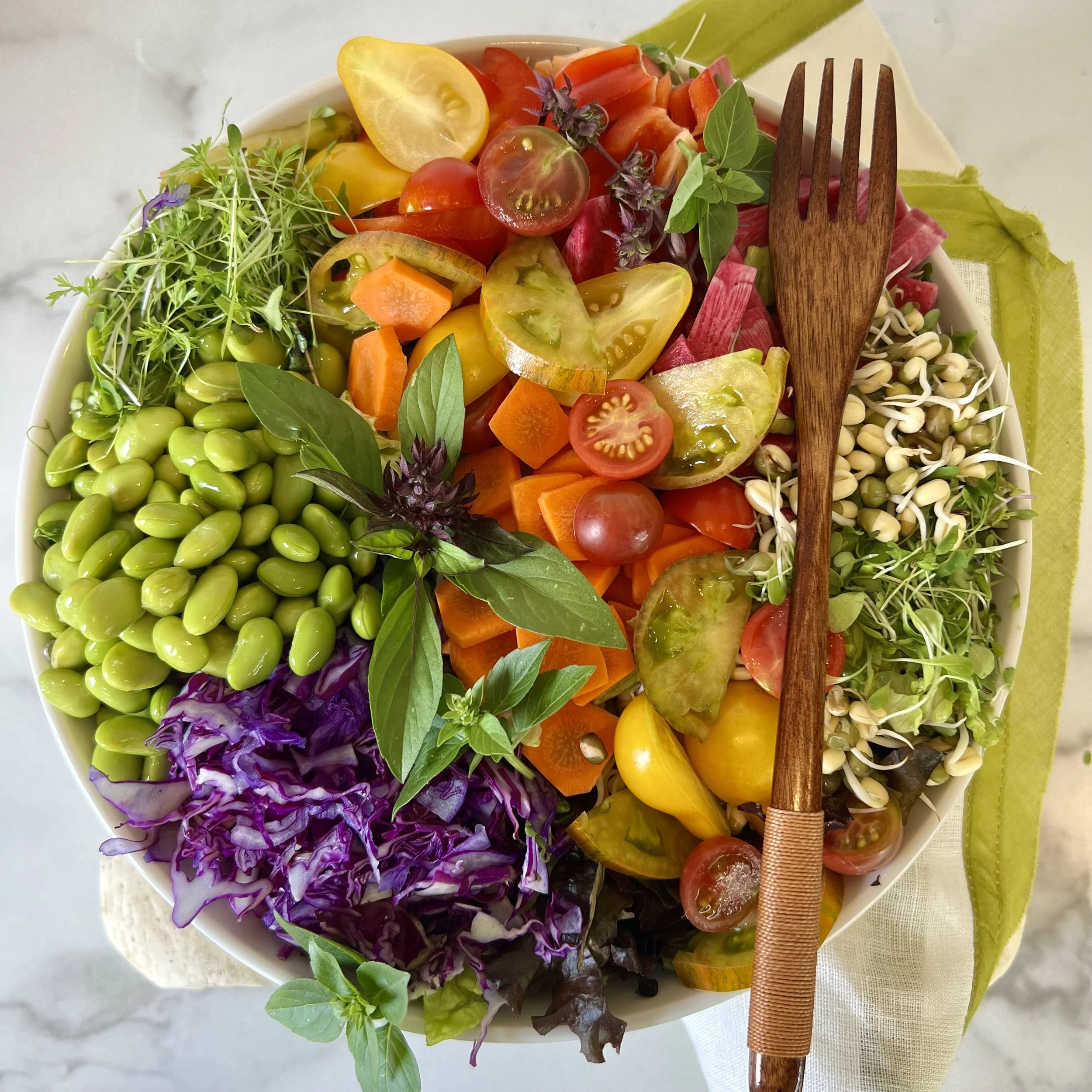 Colorful plant-based salad with edamame, red cabbage, tomatoes, carrots, herbs, sprouts, and seeds.
