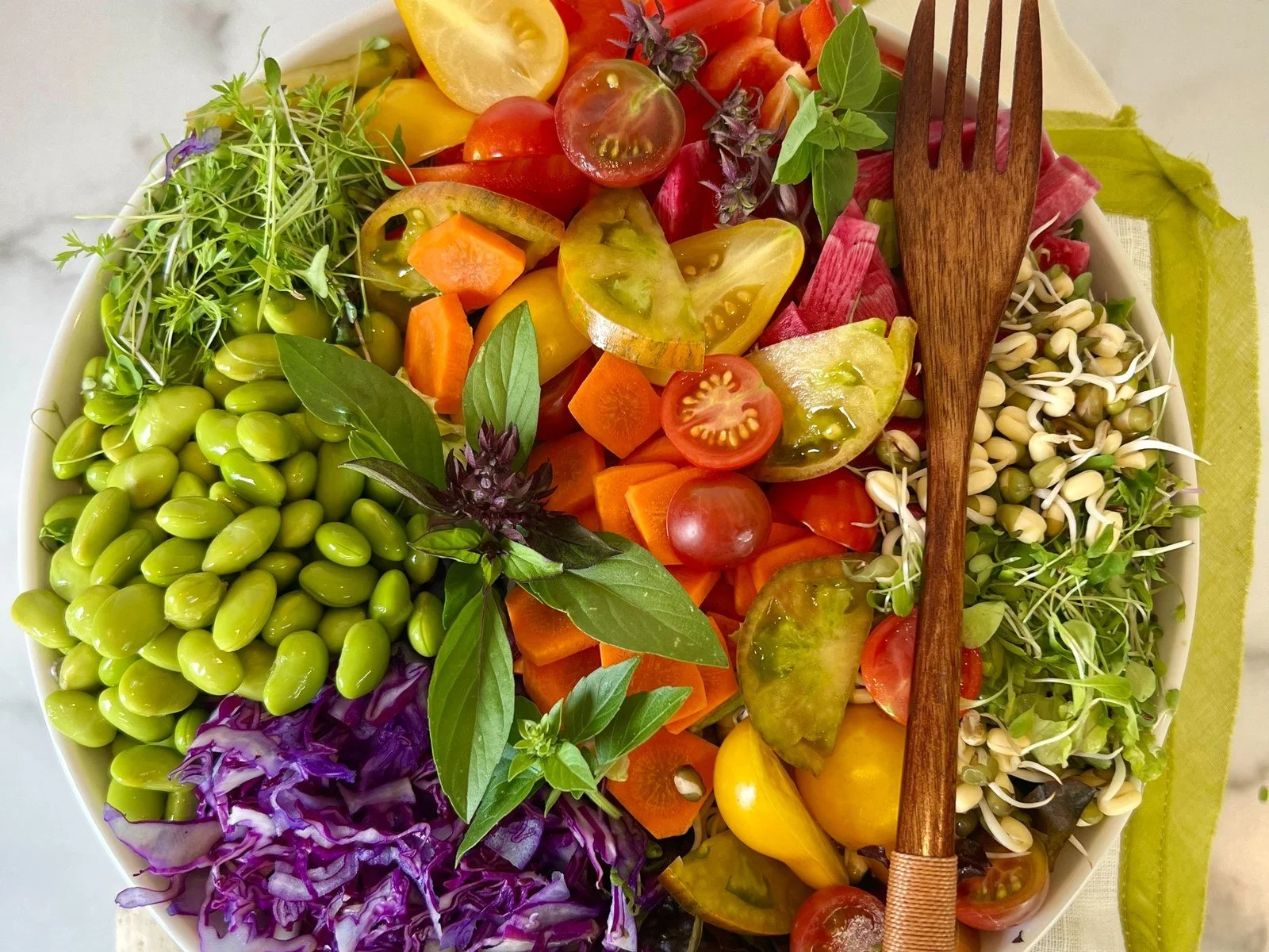 Colorful plant-based bowl filled with edamame, sprouts, purple cabbage, tomatoes, vegetables, and fresh herbs