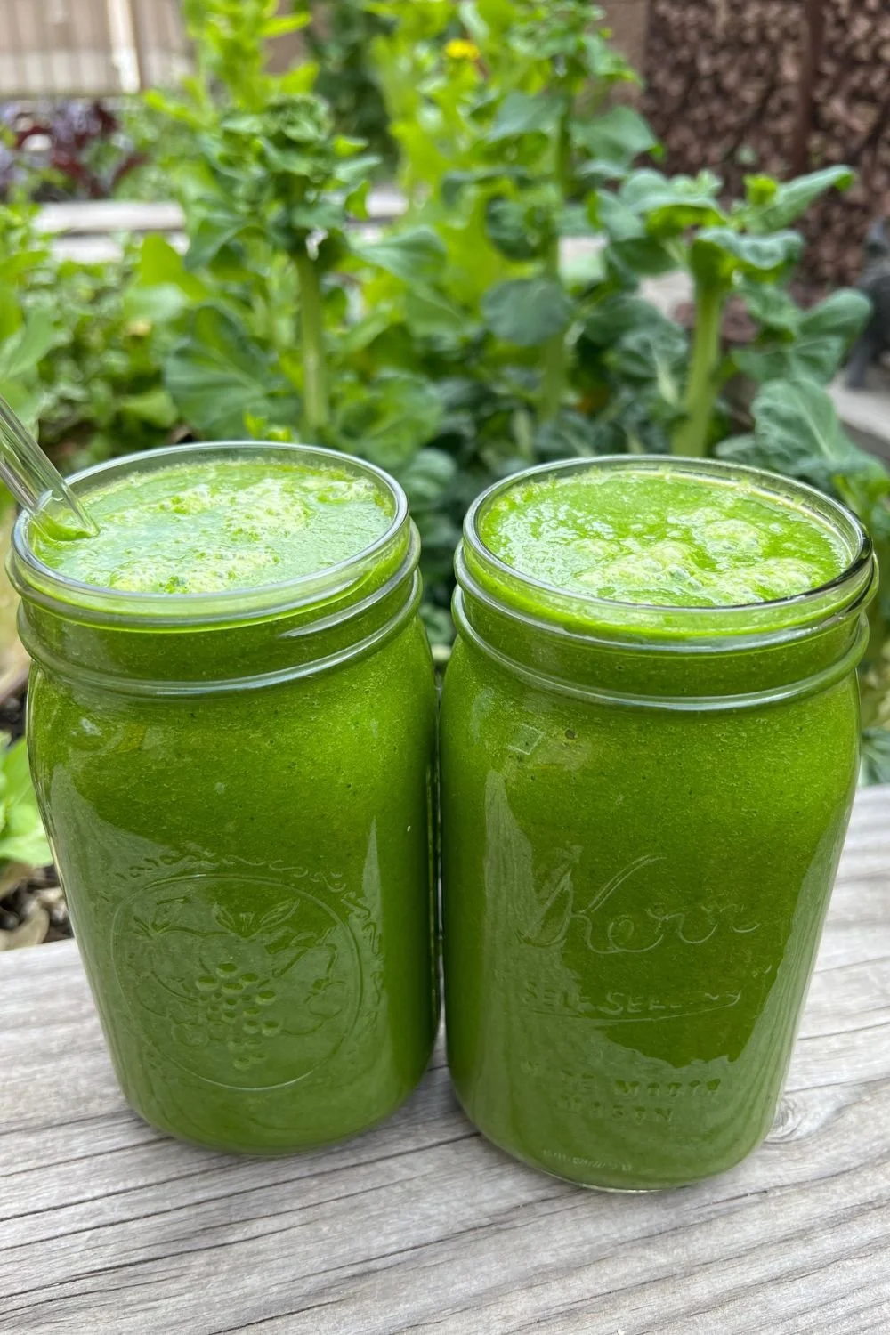 Two large green smoothies made with leafy greens, fruit, and omega-3 rich seeds