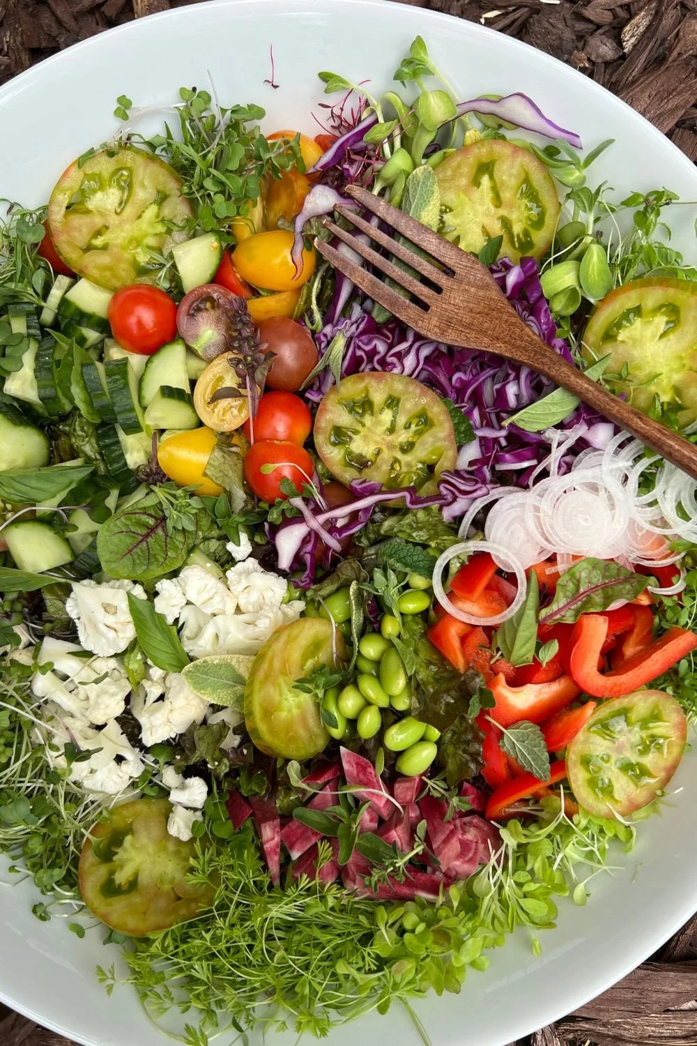 Colorful salad with edamame, tomatoed, cabbage, cucumber, peppers, sprouts, and fresh herbs