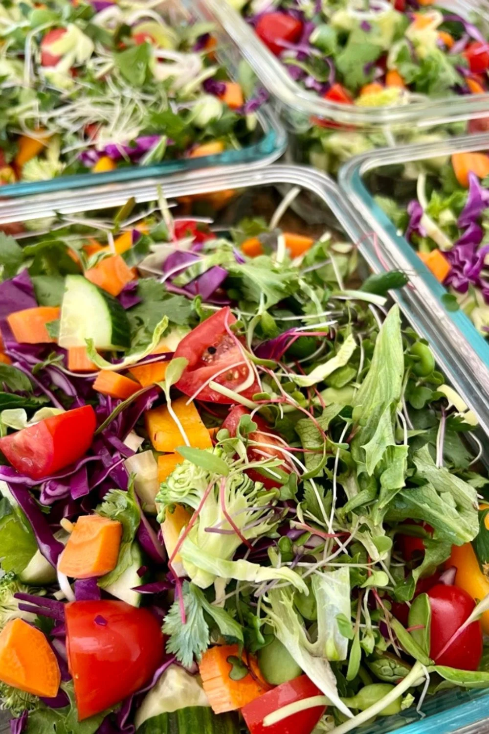 Glass meal-prep containers filled with colorful leafy greens and chopped vegetables for weekday salads on Dr. Brooke Goldner's Goodbye Autoimmune Protocol.