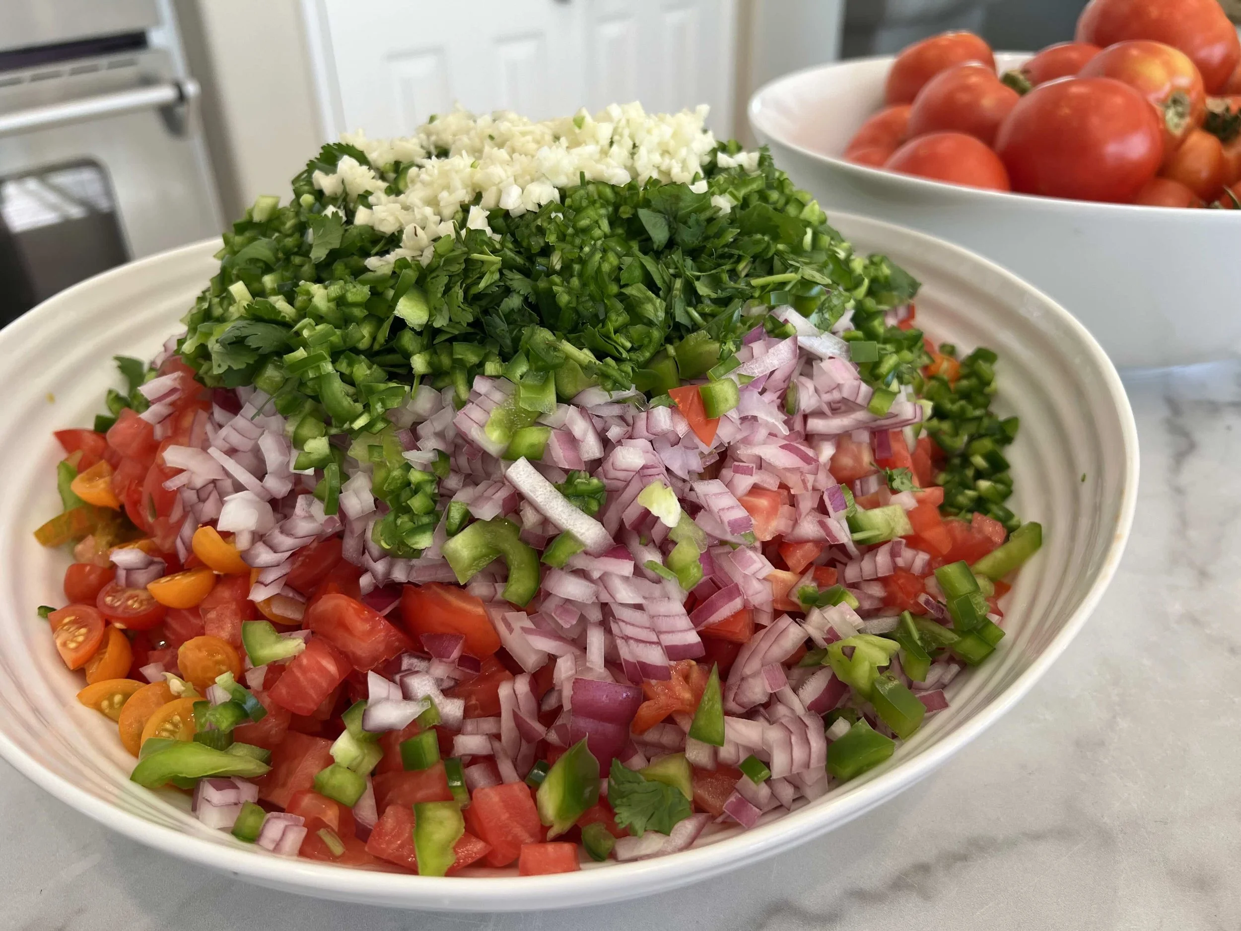 Chopped tomatoes, red onion, peppers, cilantro, and garlic prepared for homemade fermented salsa.