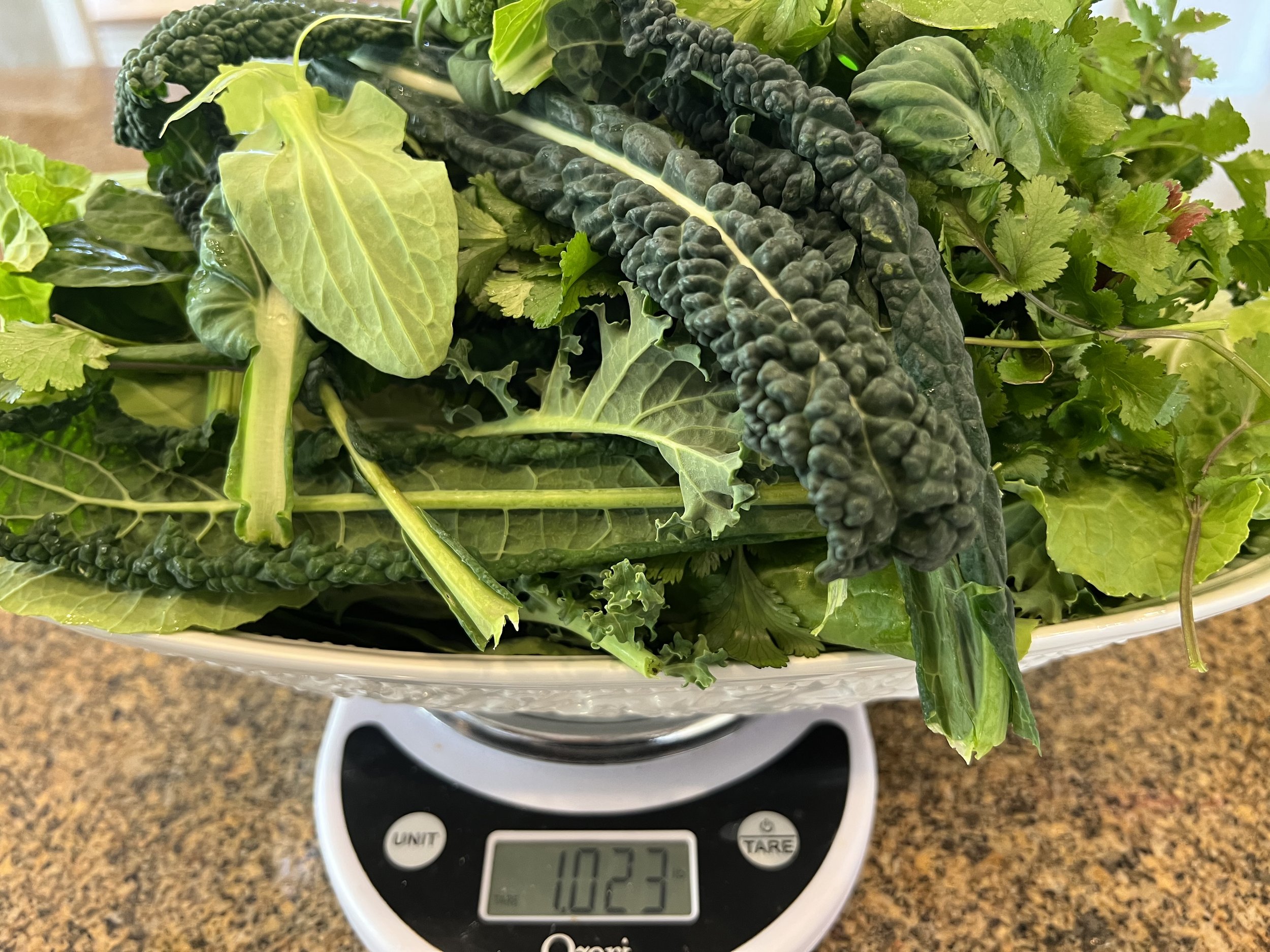 One pound of leafy greens and cruciferous vegetables weighed on a kitchen scale.