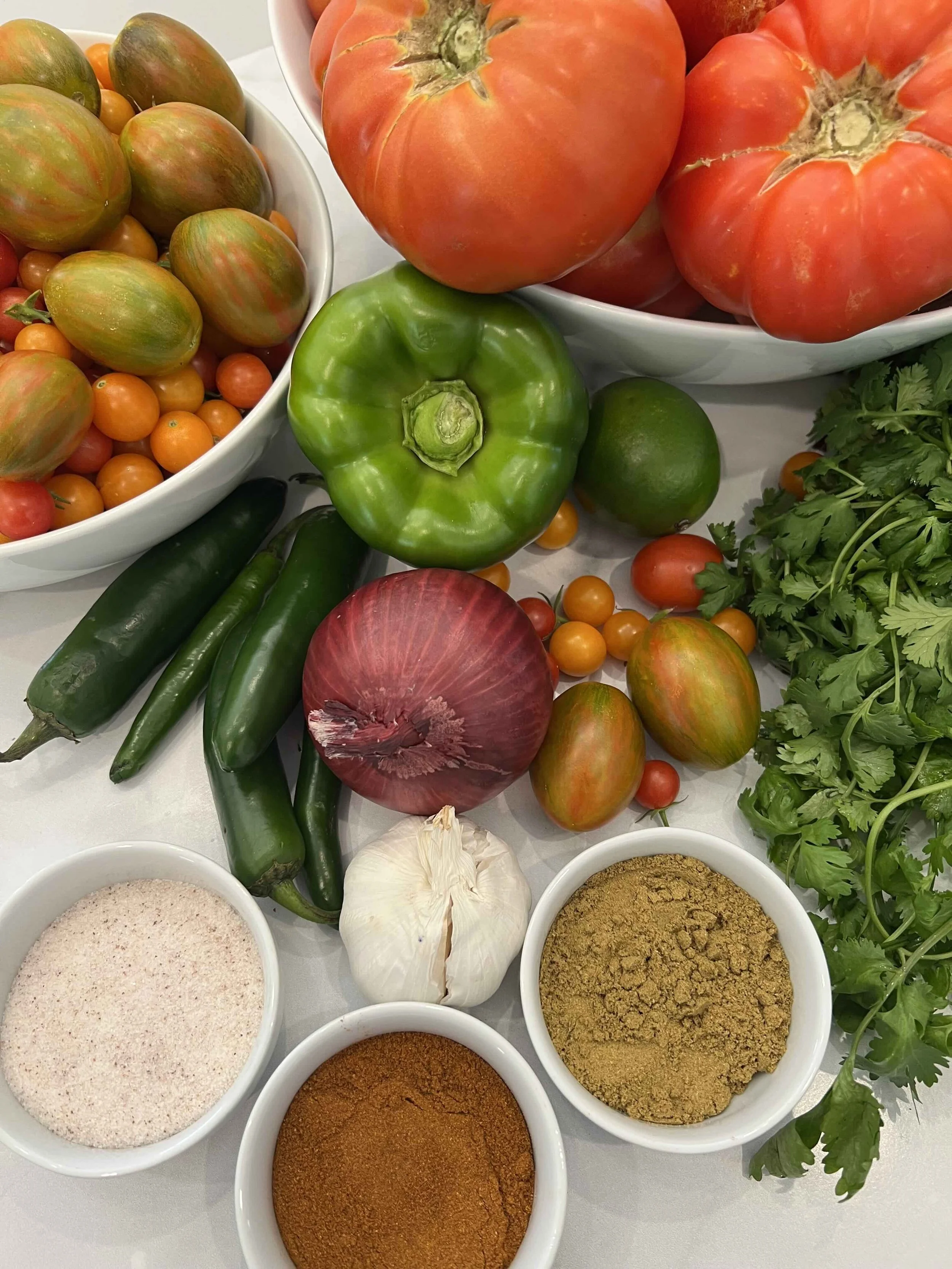 Fresh tomatoes, green pepper, jalapenos, red onion, garlic, cilantro, lime, salt, and spices for fermented salsa.