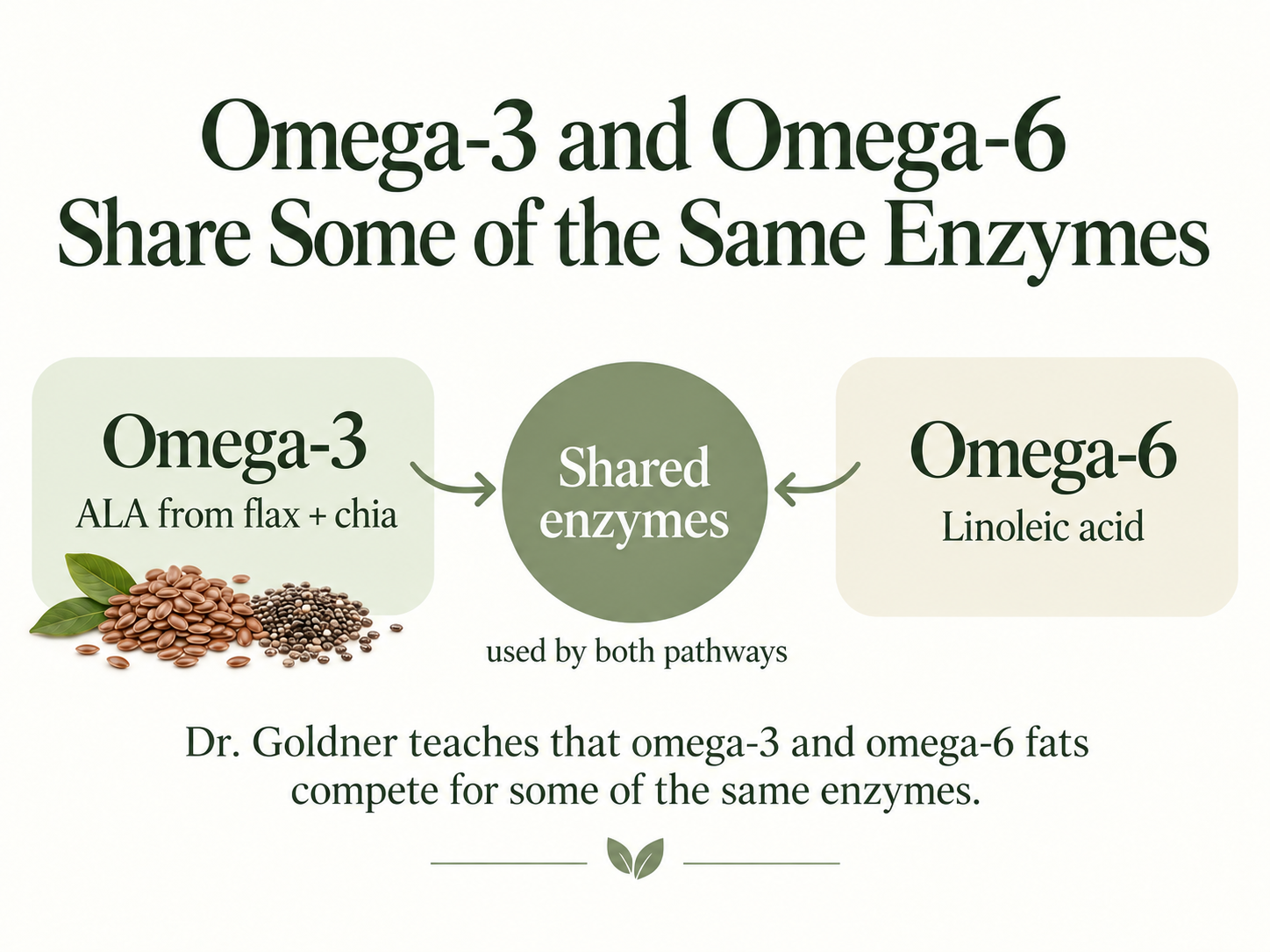 Simple graphic showing that omega-3 from flax and chia and omega-6-linoleic acid share some of the same metabolic enzymes