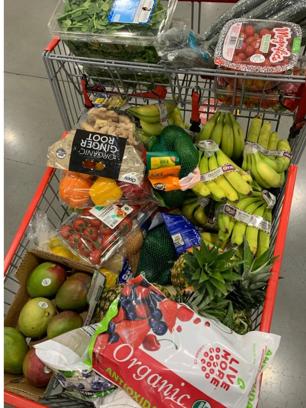 Shopping cart filled with fresh fruits and vegetables for a week of raw plant-based meals on the Goodbye-Autoimmune Protocol.