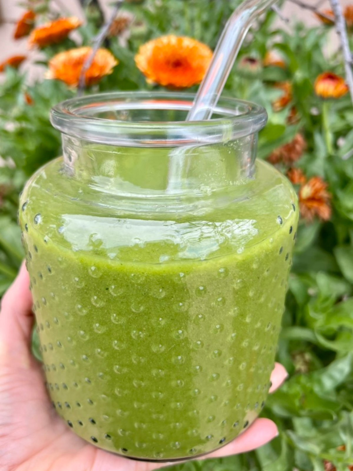 Homemade green smoothie in glass jar in front of a garden