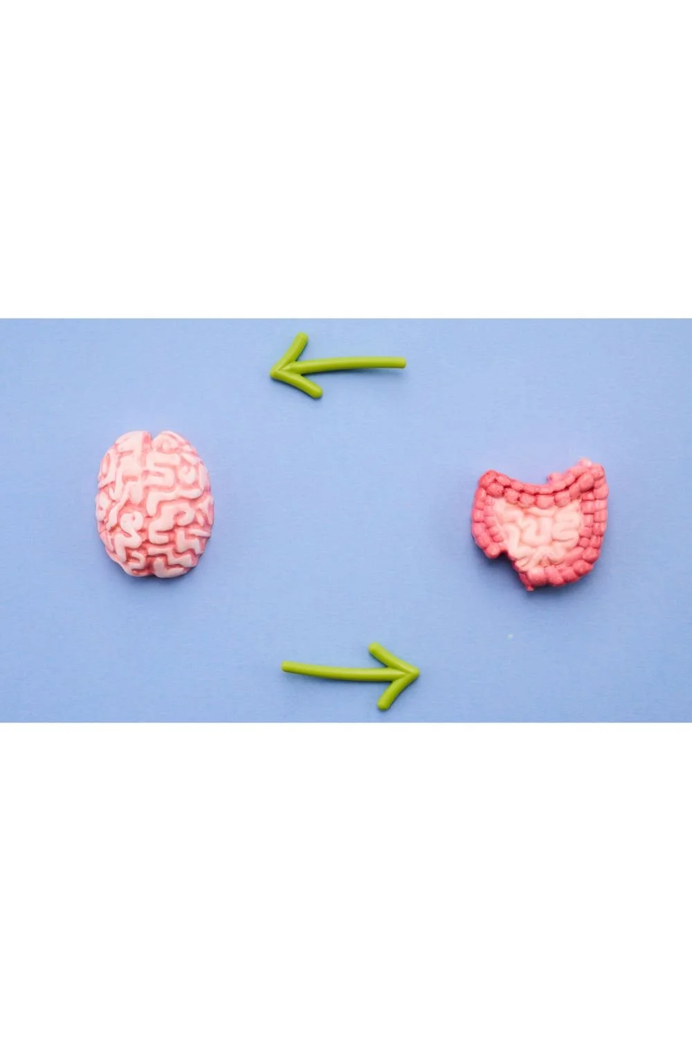 Illustration showing two-way communication between the brain and gut through the gut-brain axis