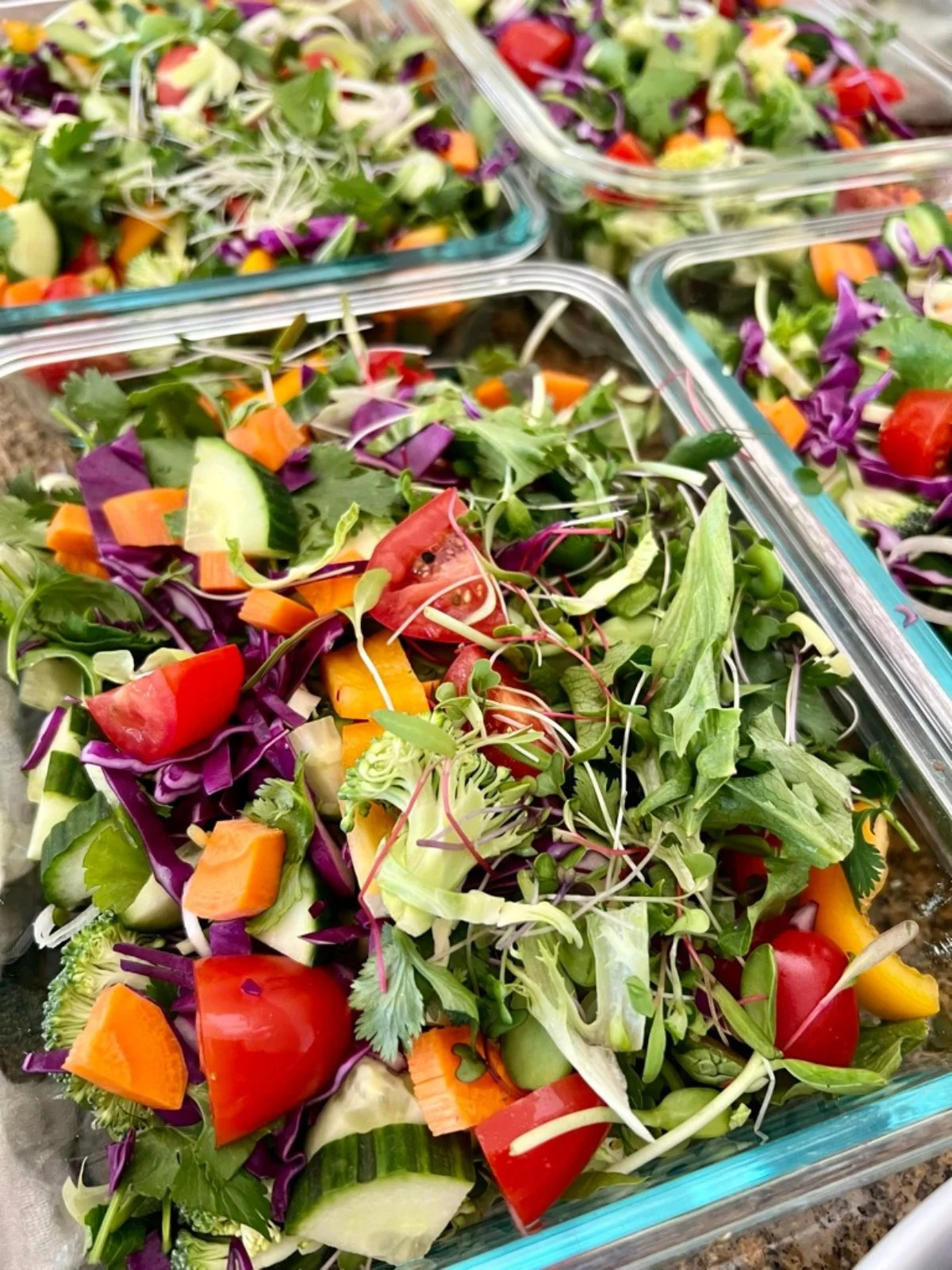 Colorful raw vegetable salads prepared ahead in glass containers with greens, cabbage, tomatoes, cucumber, and sprouts.