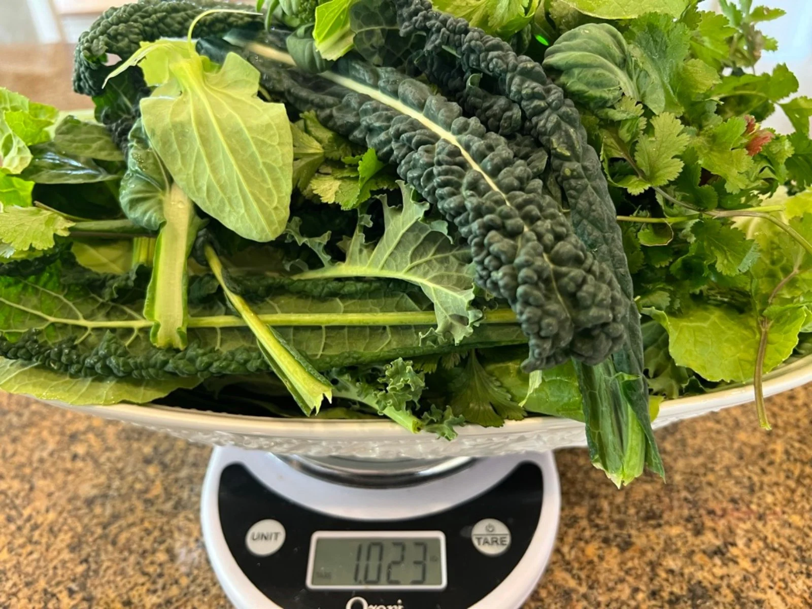 Just over one pound of leafy greens weighed on a kitchen scale for Dr. Brooke Goldner's Goodbye Autoimmune Protocol.