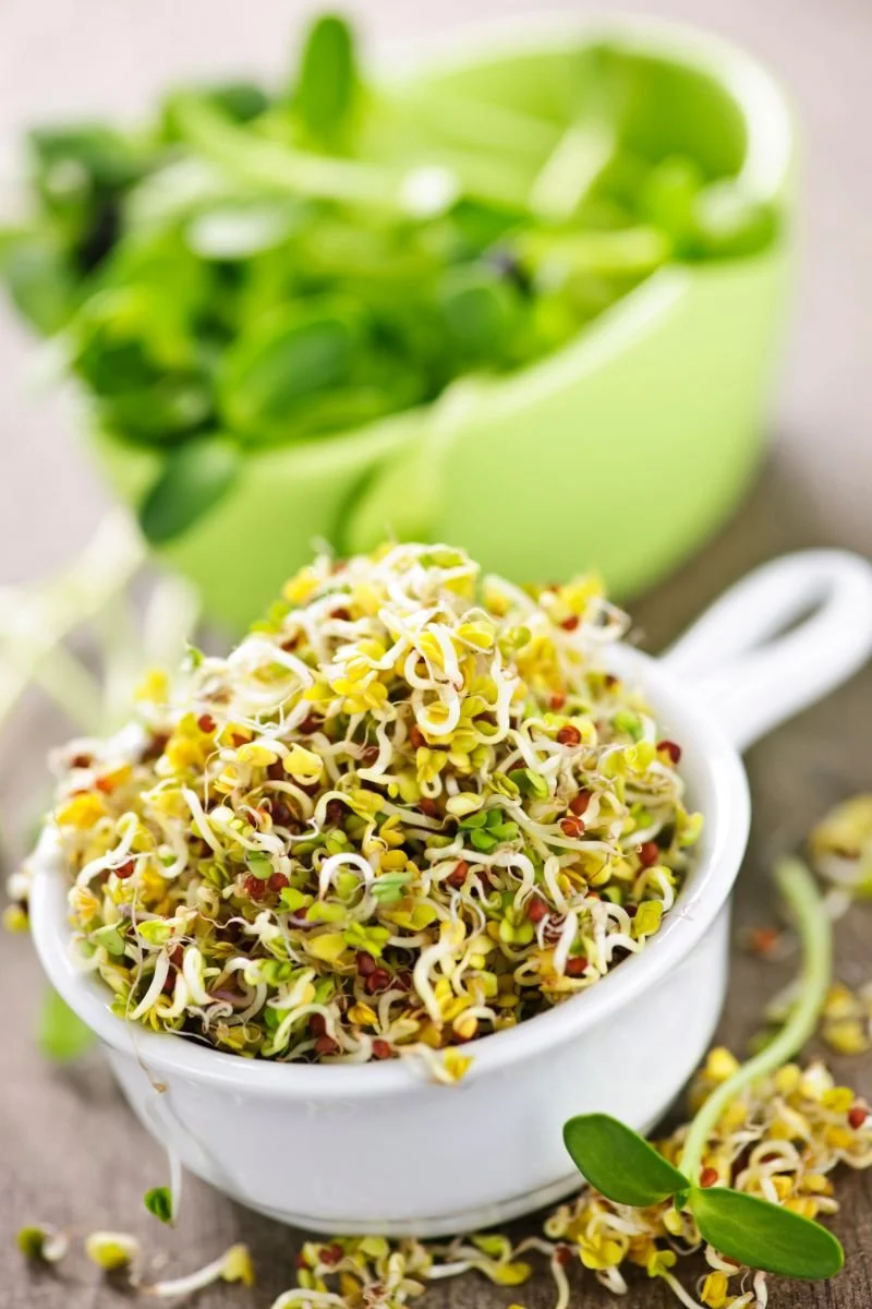 Fresh broccoli sprouts piled in a white bowl.