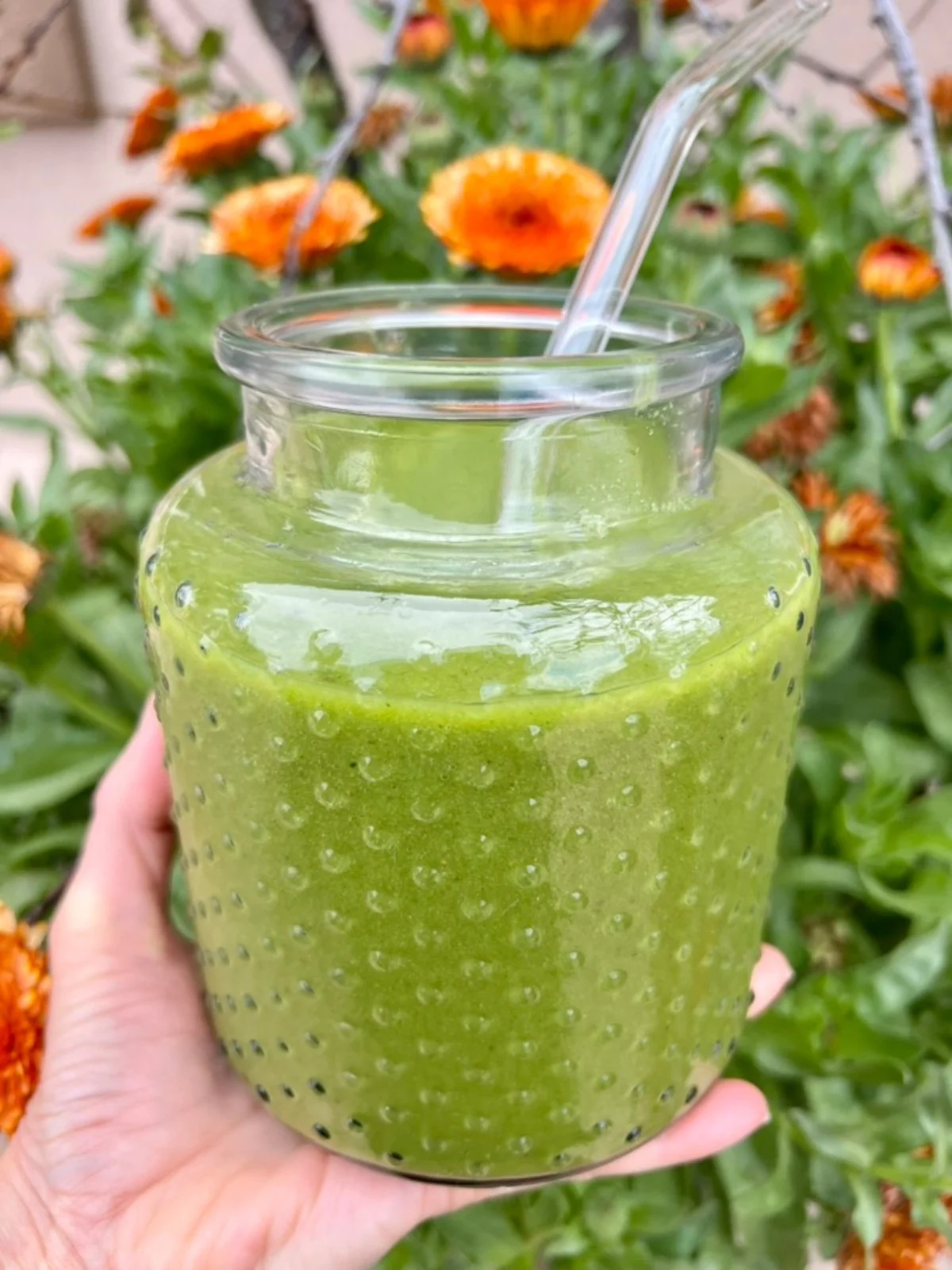 Bright green Hyper-Nourishing smoothie held in front of a bakyard vegetable garden