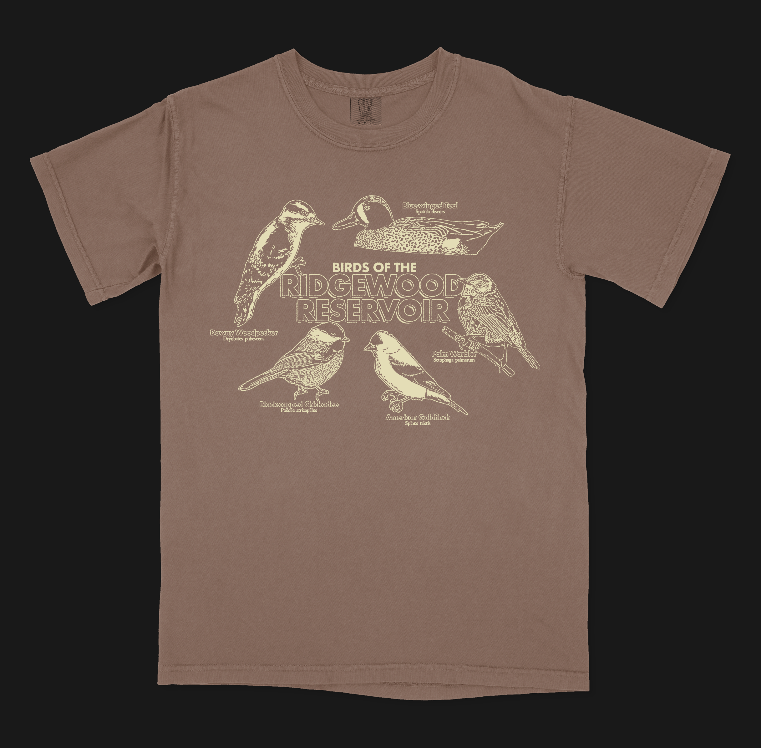 Birds of the Ridgewood Reservoir Shirt (Comfort Colors)