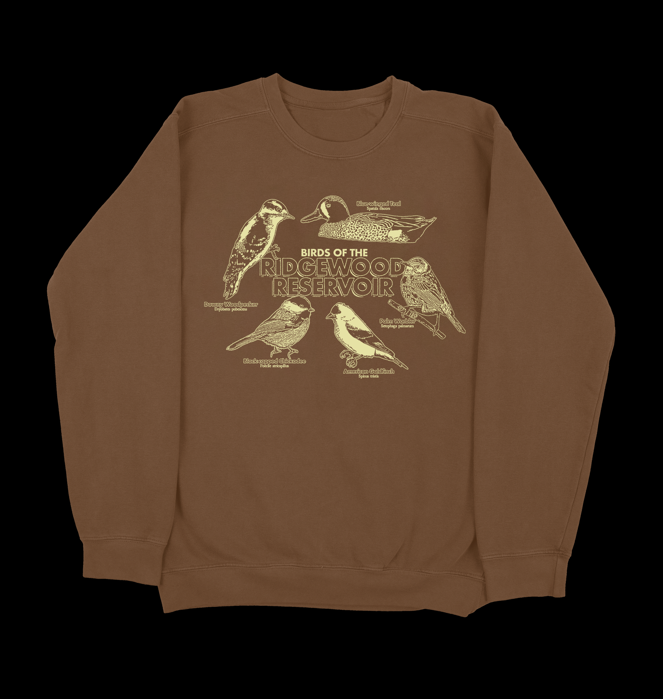 Birds of the Ridgewood Reservoir Crewneck