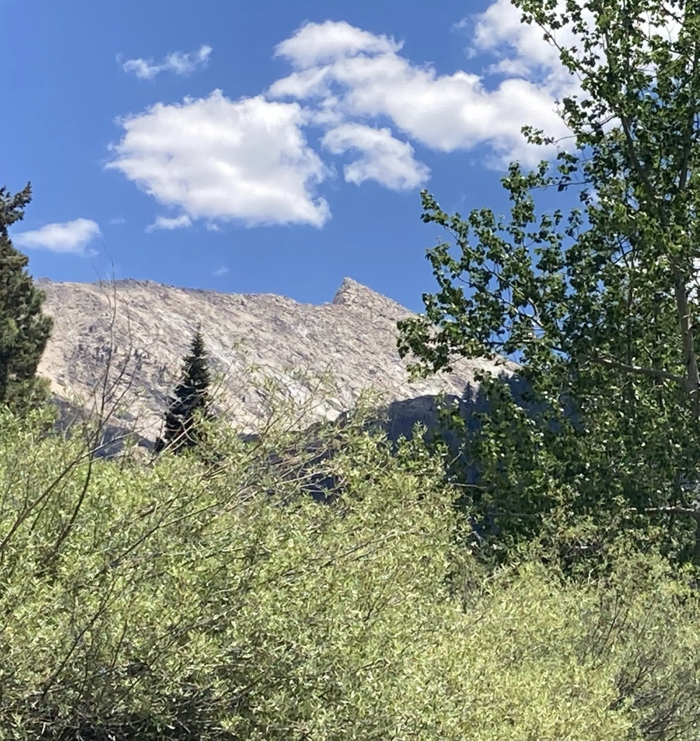 Sawtooth Peak, Mineral King, Sequoia National Park   - Jill Van Wormer.png