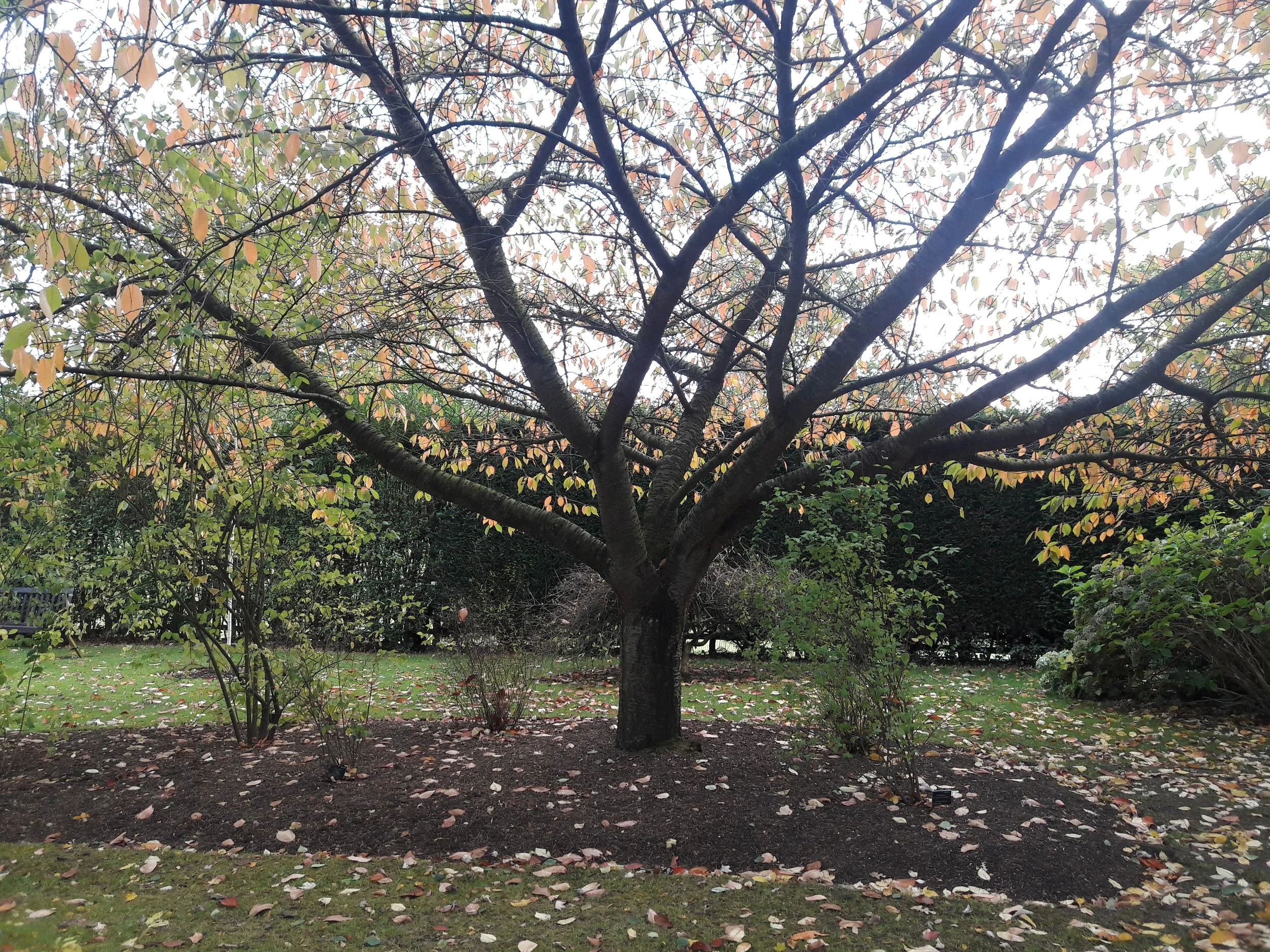 Vienna, Austria, photo by: Traci Schuck