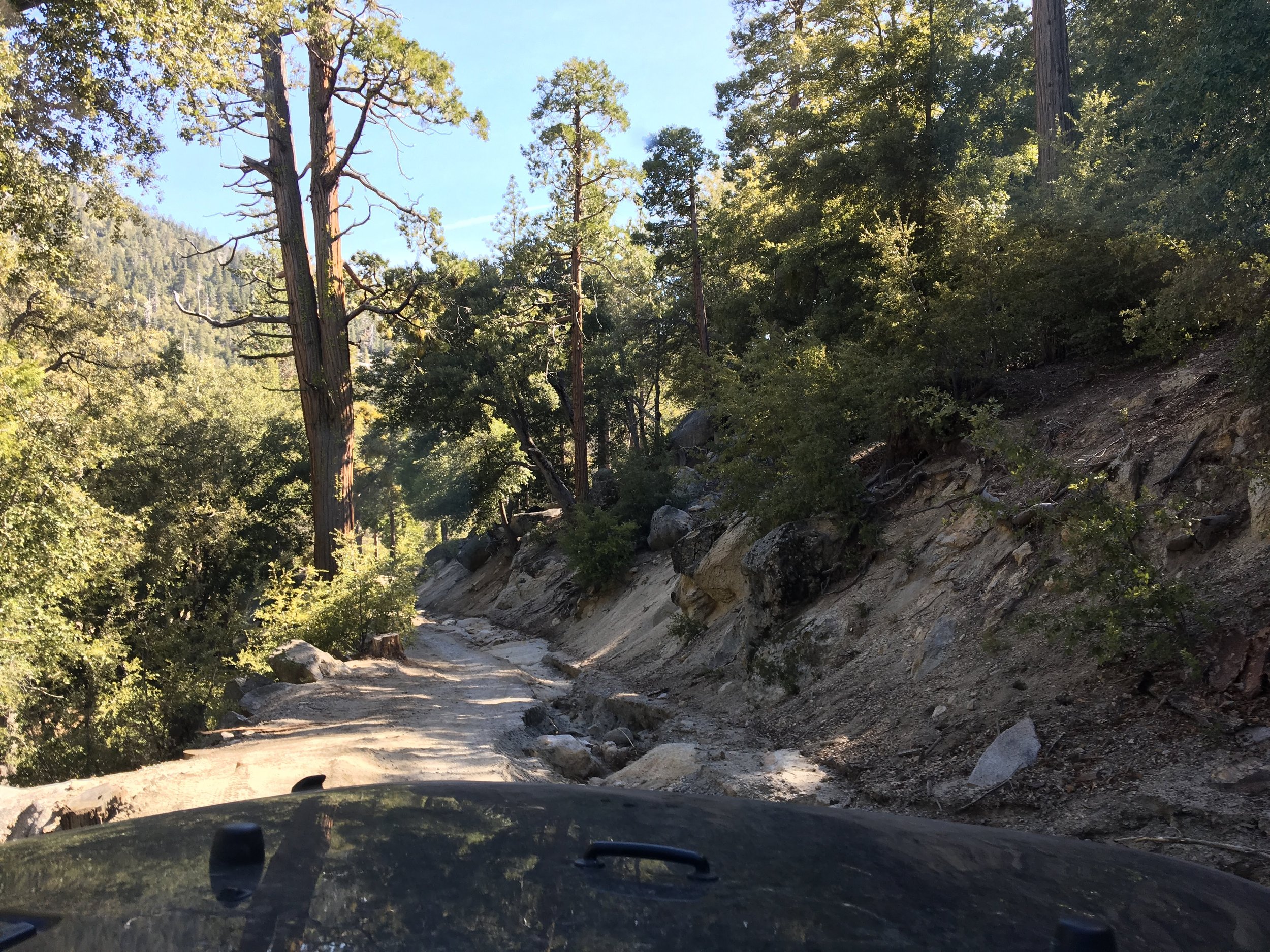 IMG_5784 - Jennifer Cole.JPG