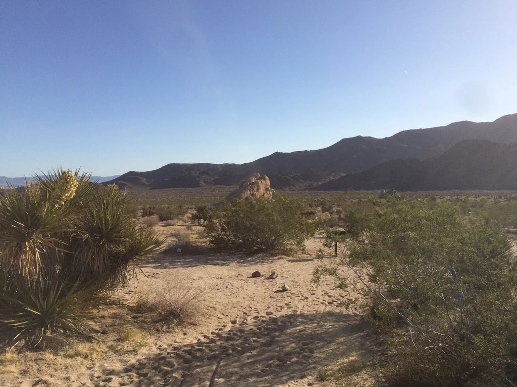 desert4 - Brian Parcel.jpeg