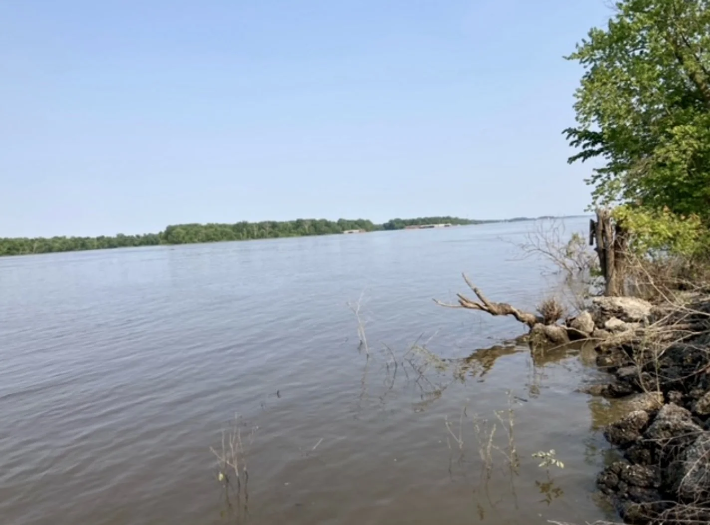 2 Jill Van Wormer.jpeg