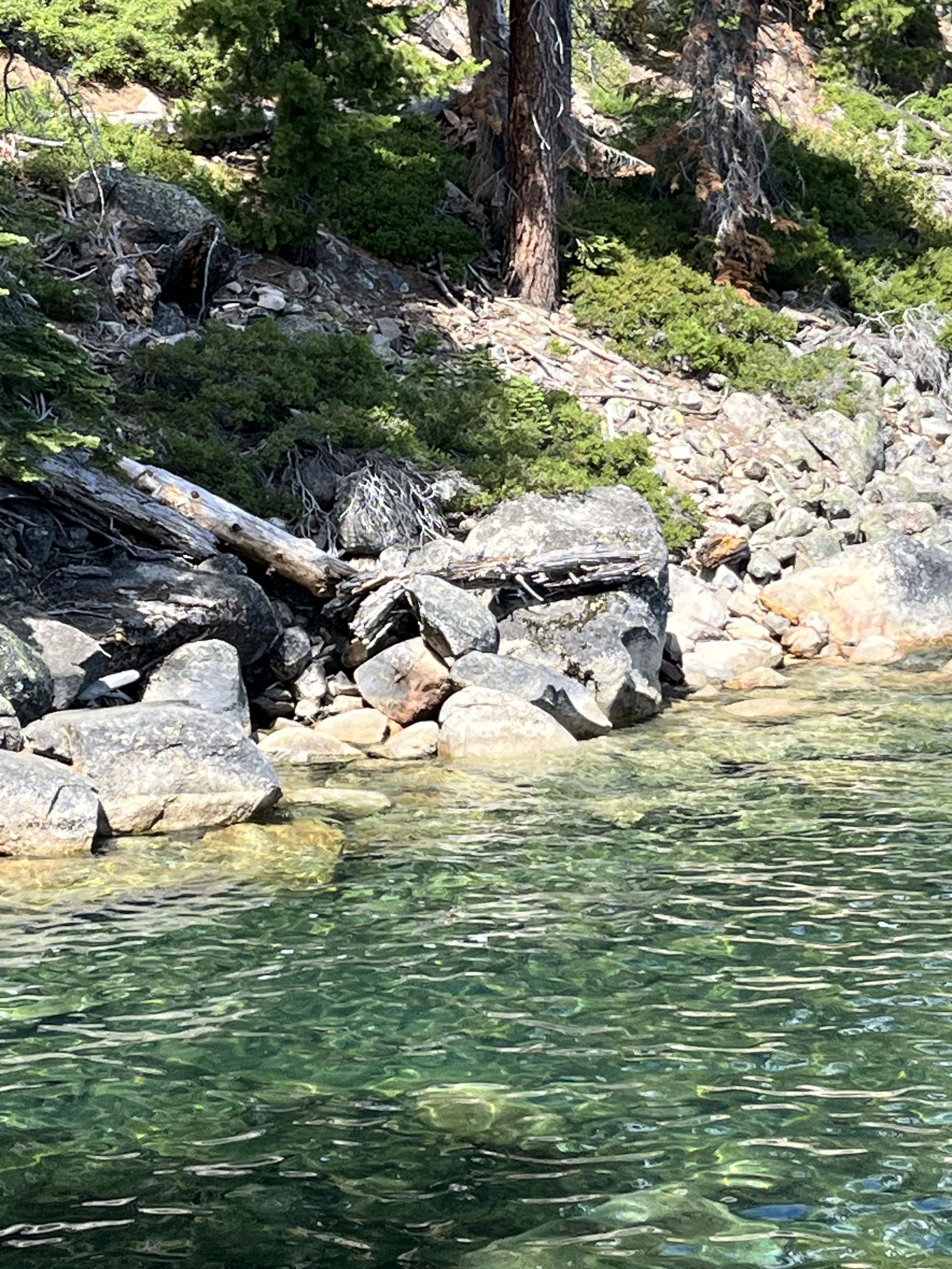 "Truckee River"
Photo by Rev. Brian Parcel