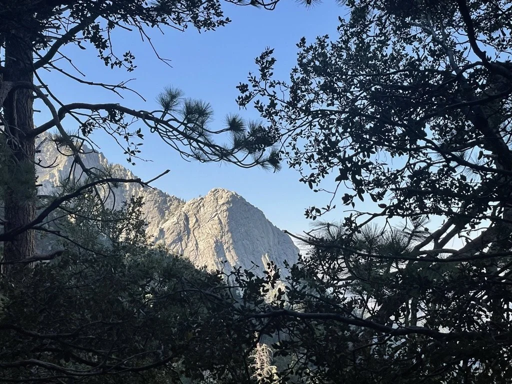 Location: Kings Canyon National Park