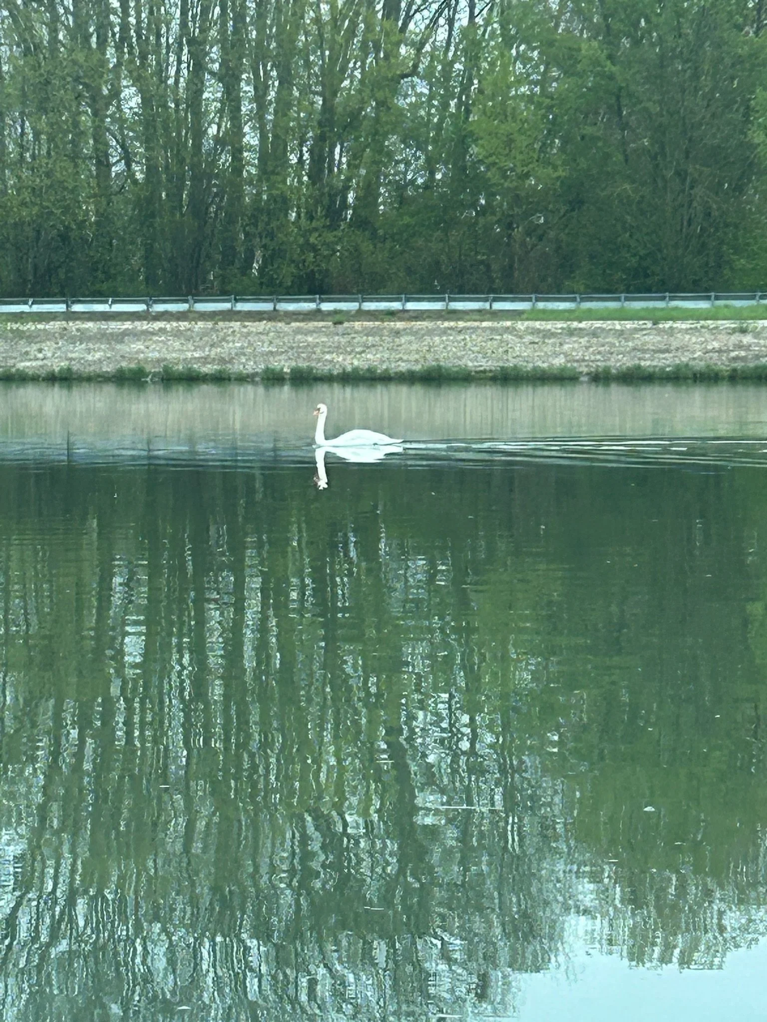 IMG_4680 - Leslie Bunker.JPEG