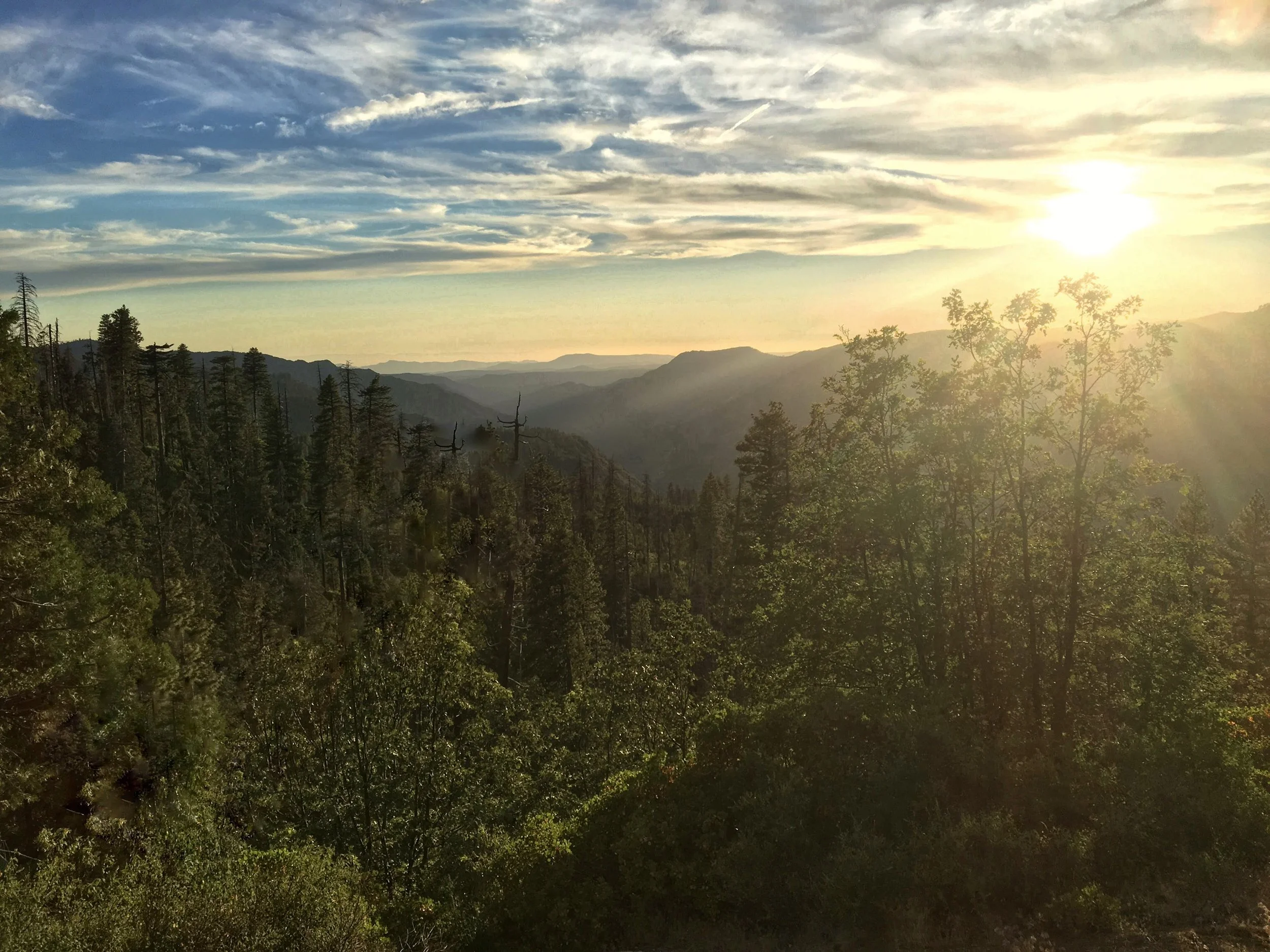 IMG_2239 - Jennifer Cole.JPG