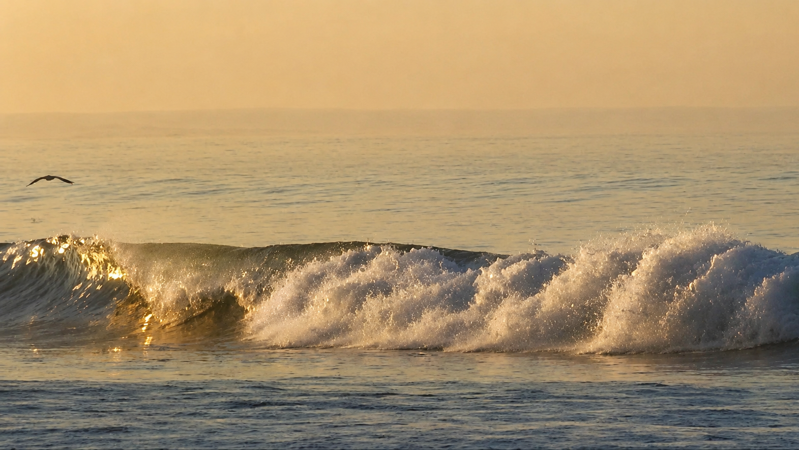 Pacific Ocean from Coronado Beach at Sunrise
Photo by: Jill Van Wormer