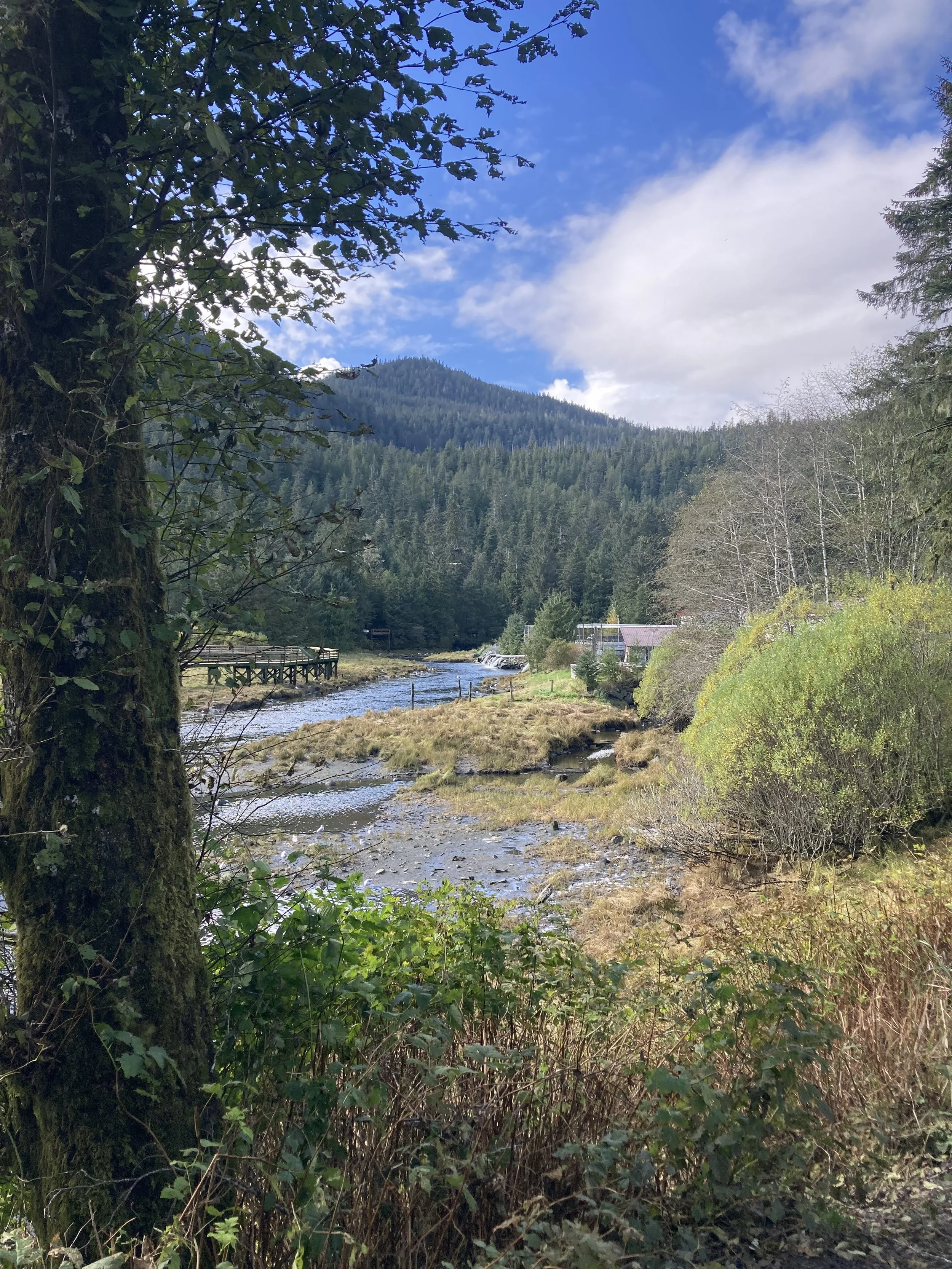 "Ketchikan, Alaska" -Anonymous