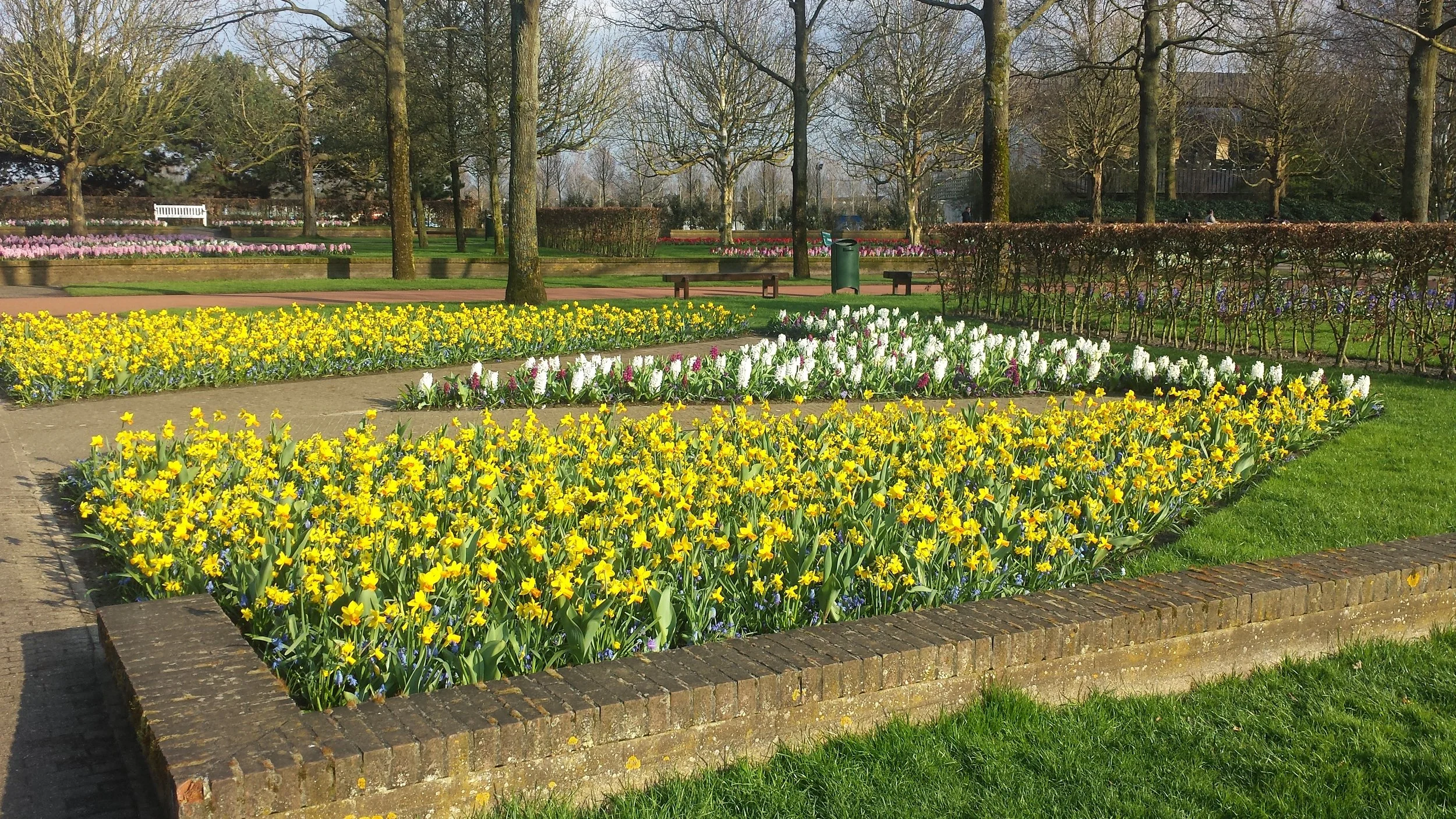 Keukenhof Gardens, Lisse Netherlands, photo by: Traci Schuck