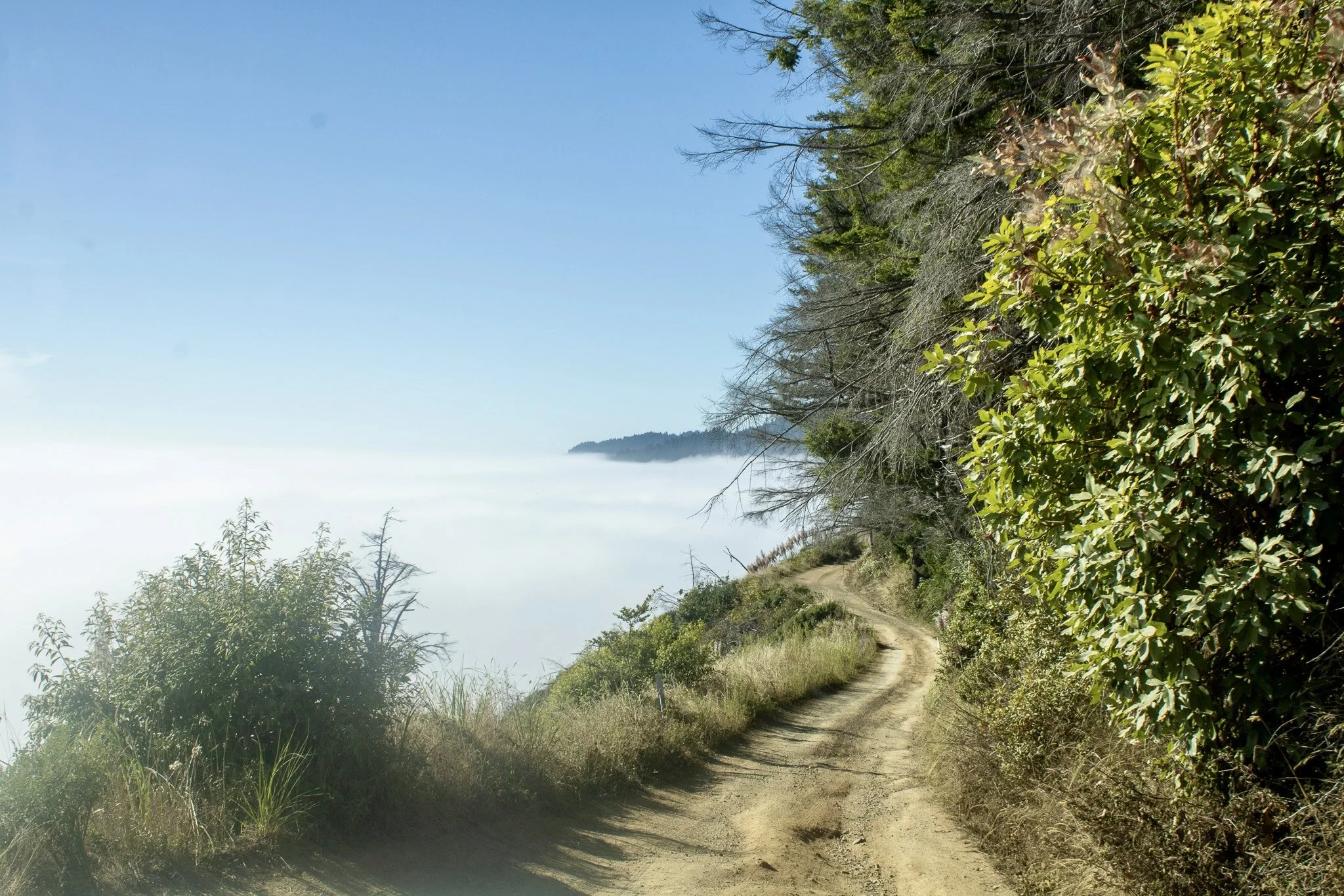 The Lost Coast Road to Usal Beach, photo by: Traci Schuck