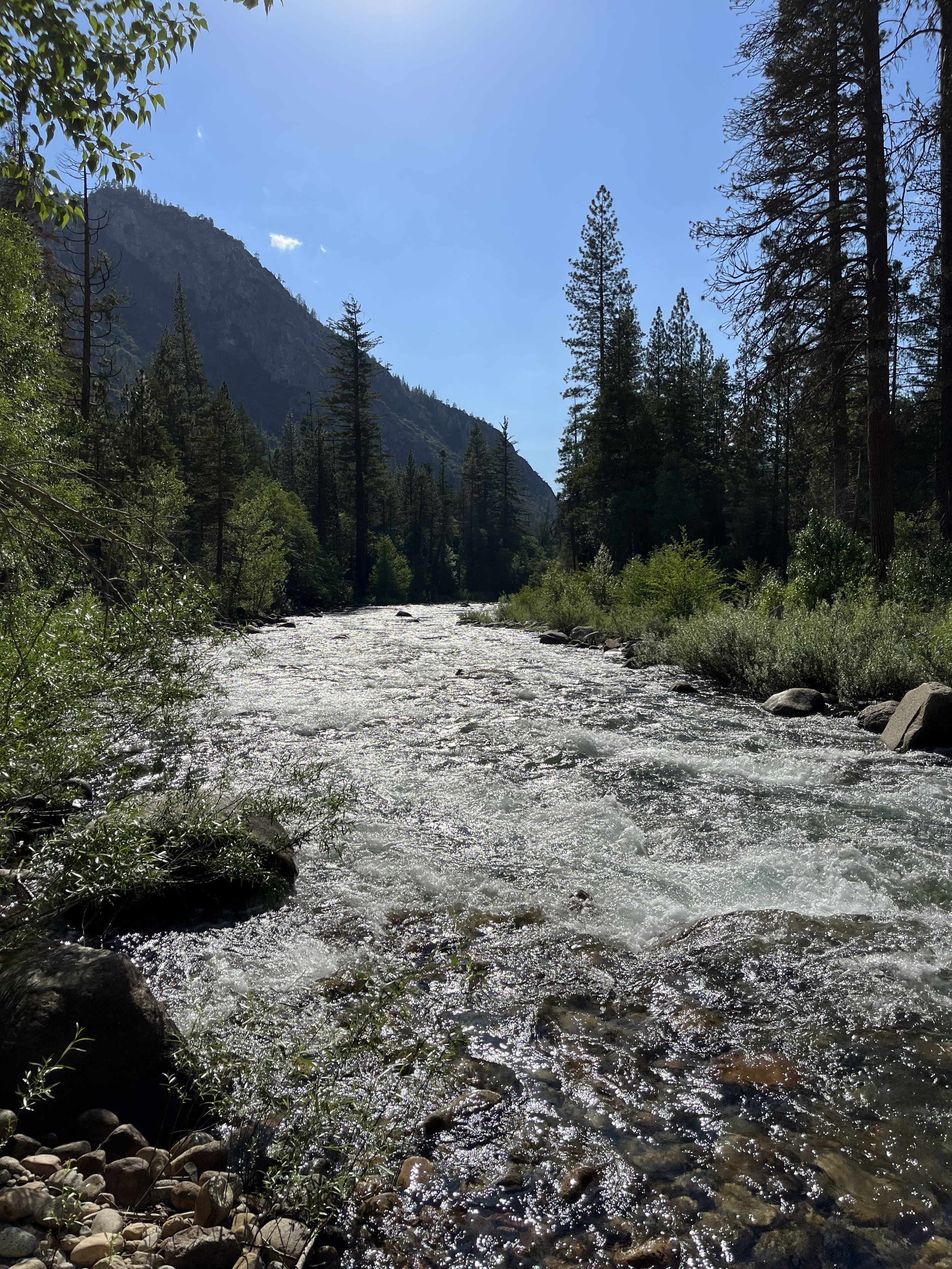 "Kings Canyon"
Photo by Rev. Brian Parcel