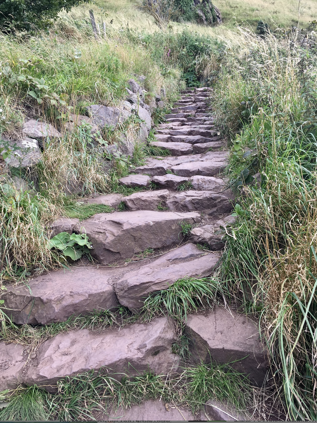 "The road can be rough and steep. God gives strength for the road he puts before us.", stone trail up Arthur's Seat, Edinburgh, Scotland, photo and description by: Jill Van Wormer