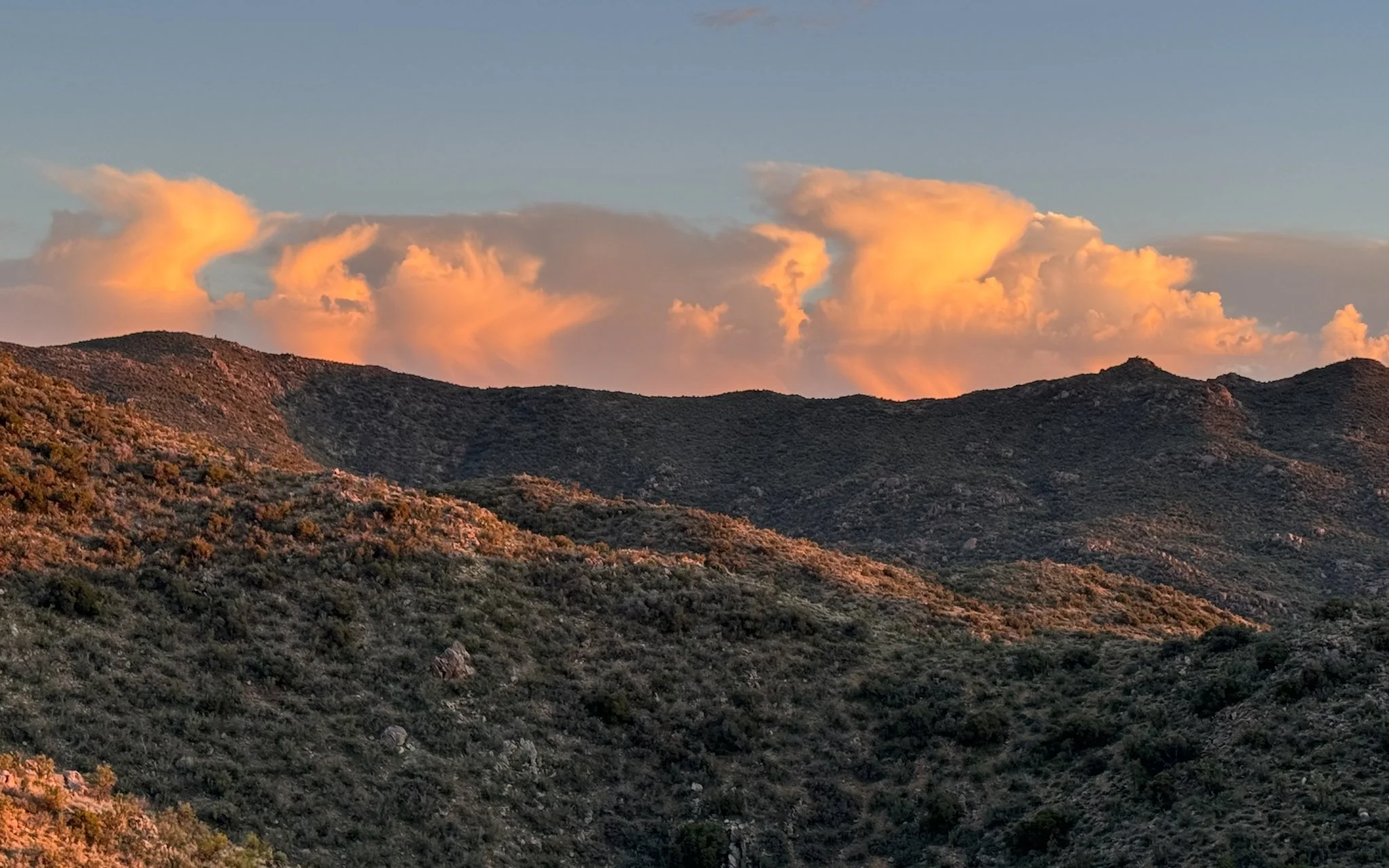 "Beyond the vastness of this rugged region, the sunset-kissed skies are heavenly and comforting."
Arizona Peace Trail
Photo and reflection by: Traci Schuck