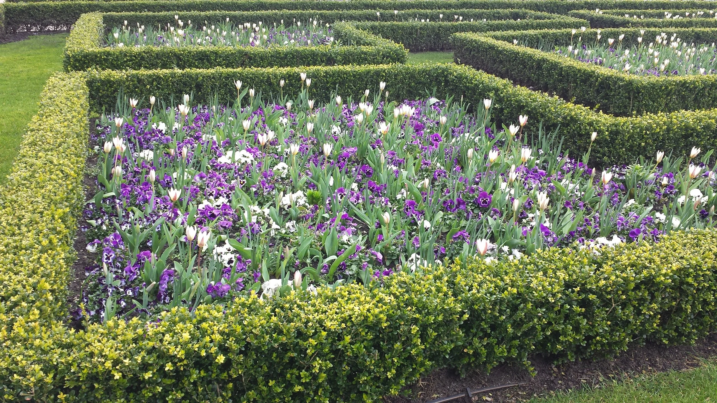 Amsterdam, Netherlands, photo by: Traci Schuck