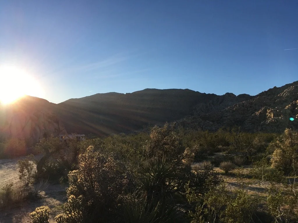 Location: Joshua Tree National Park 