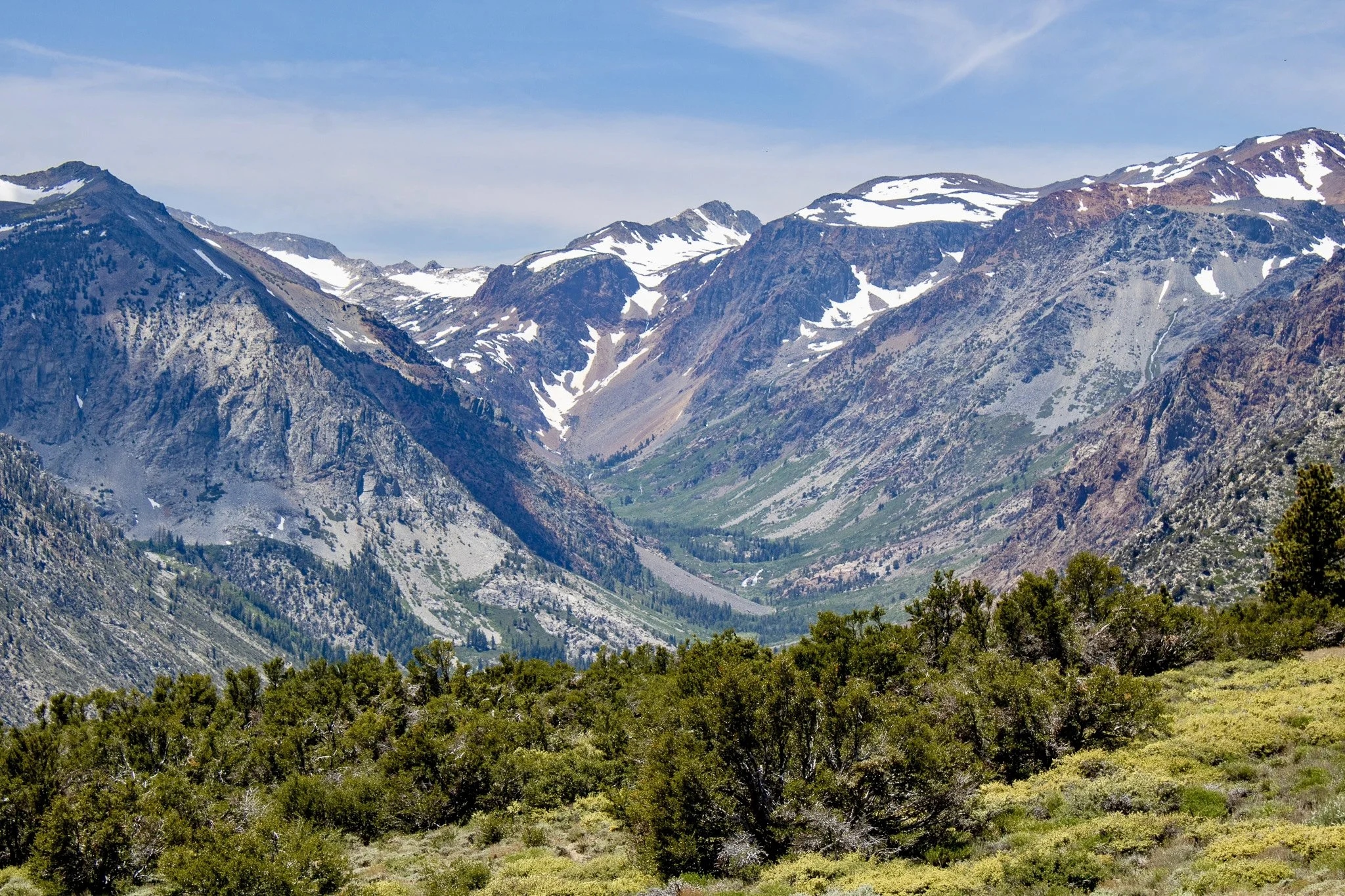 R36 Eastern Sierras - Traci Schuck.jpeg